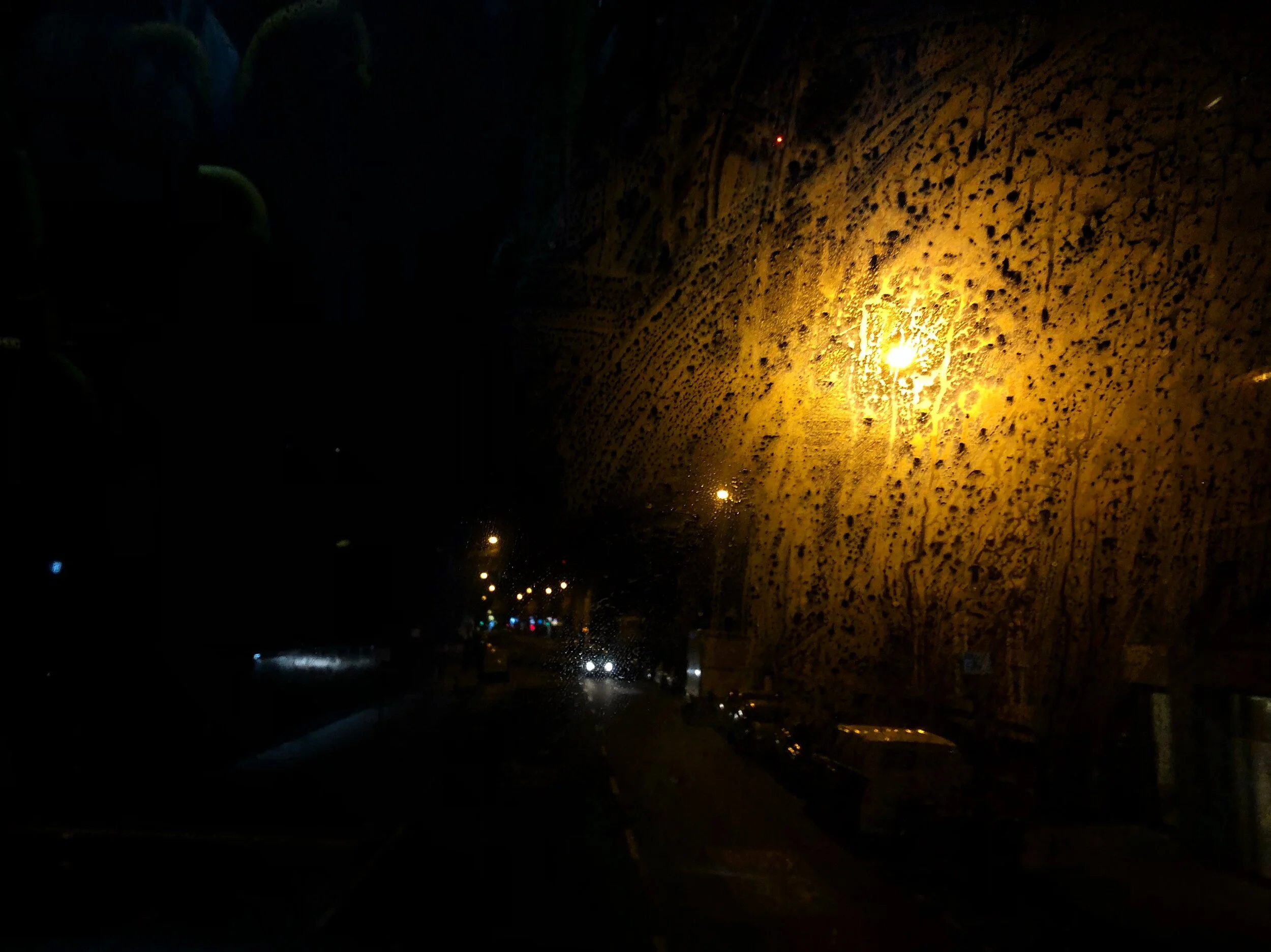 IMG_1751.jpeg