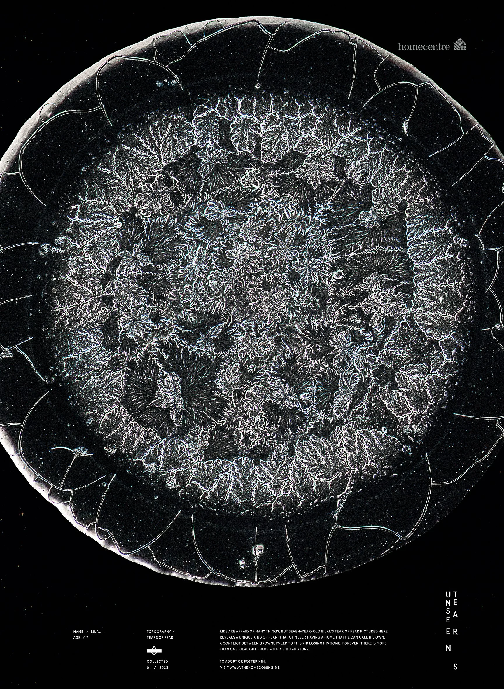 Unseen tears_ Bilal.jpg