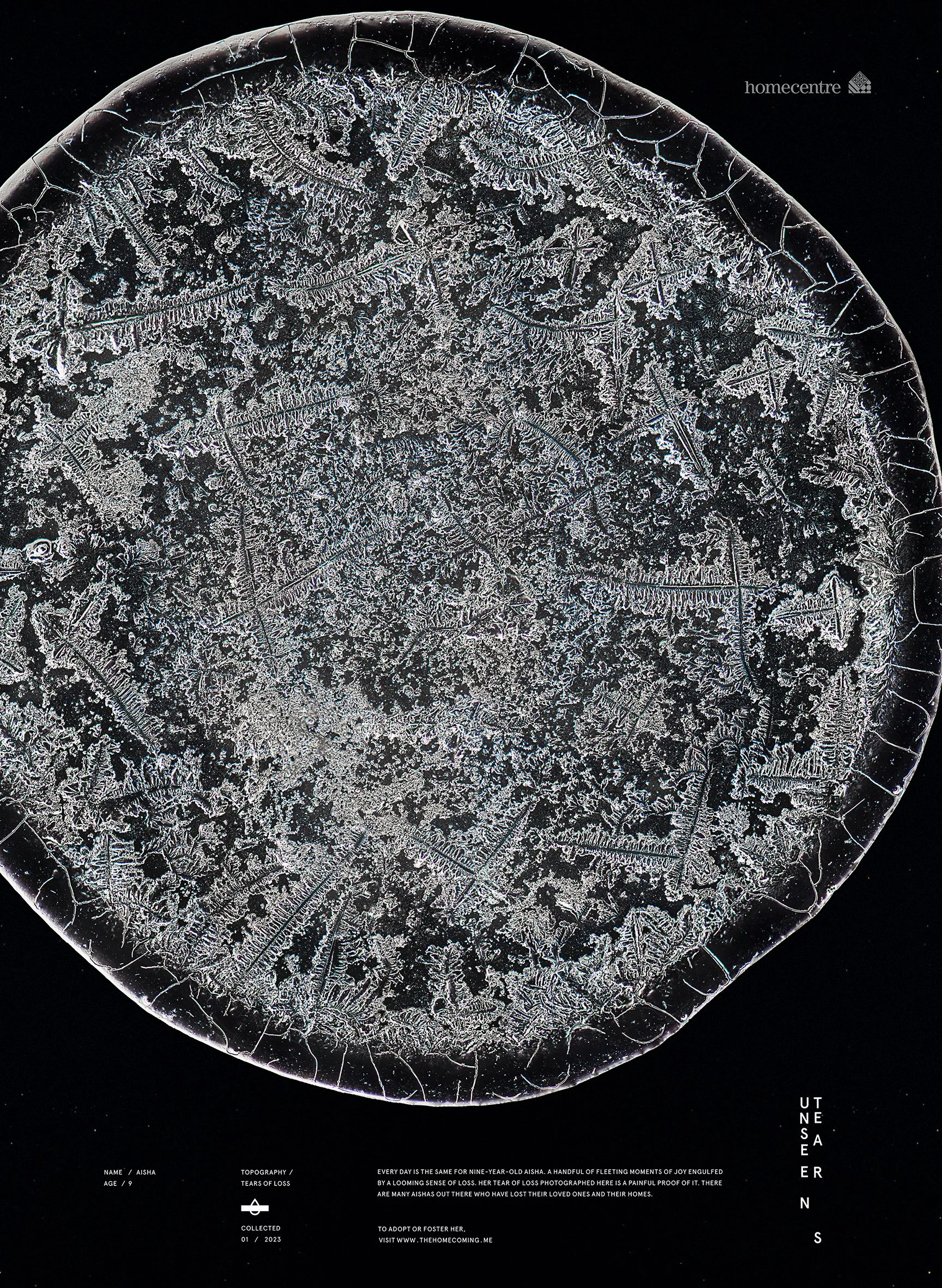 Unseen tears_ Aisha.jpg