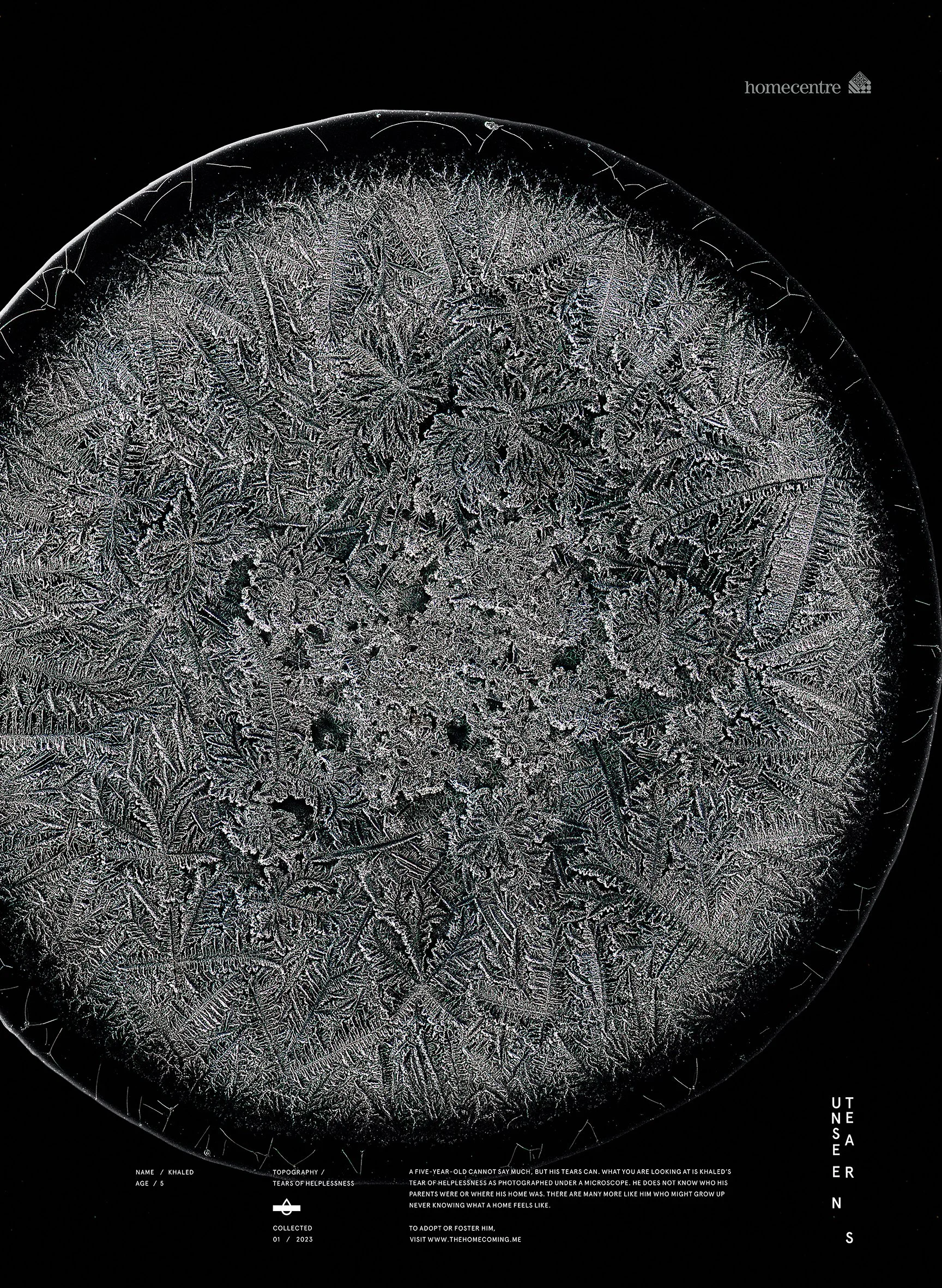 Unseen tears_ Khaled.jpg