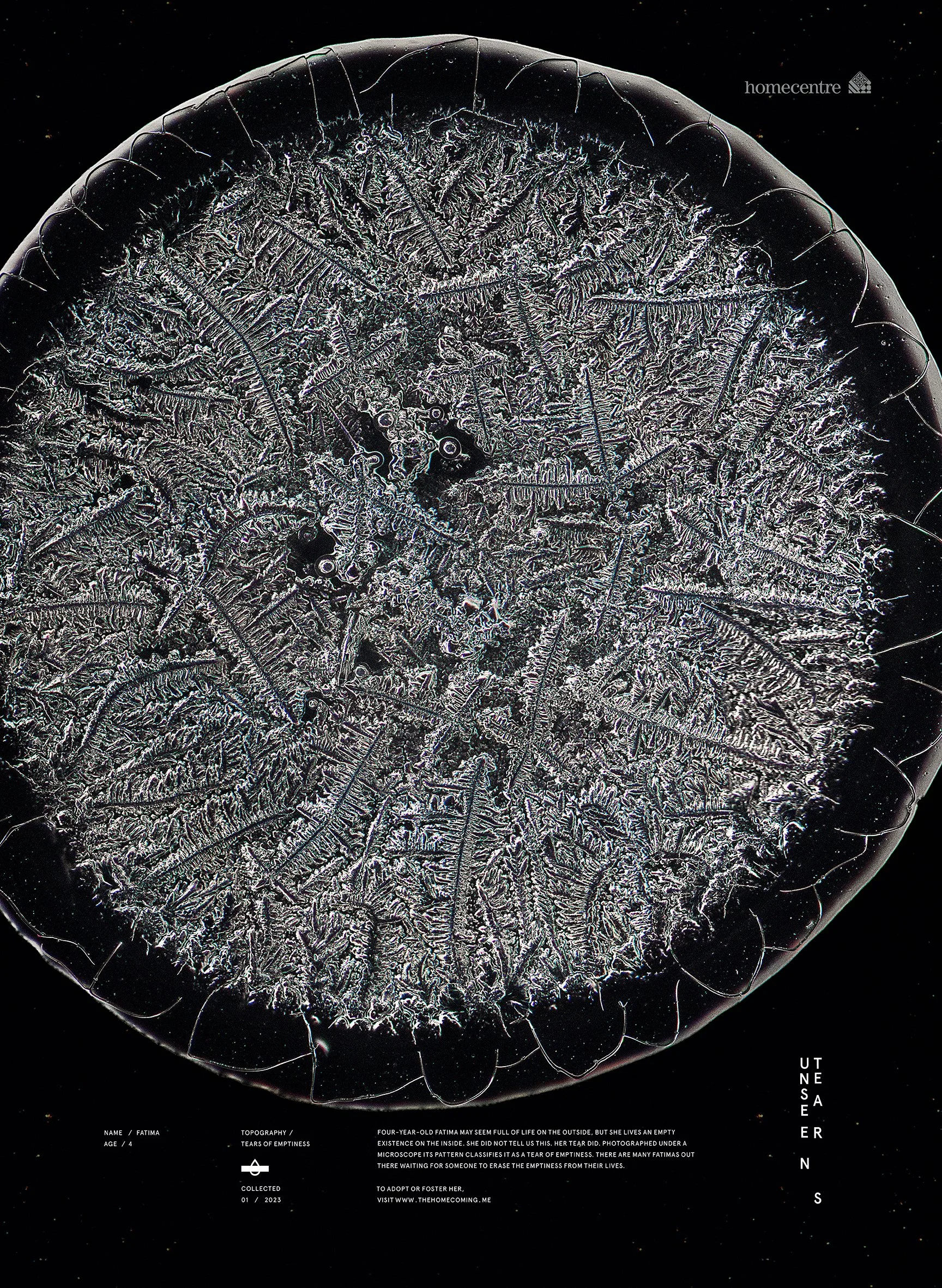 Unseen tears_ Fatima.jpg