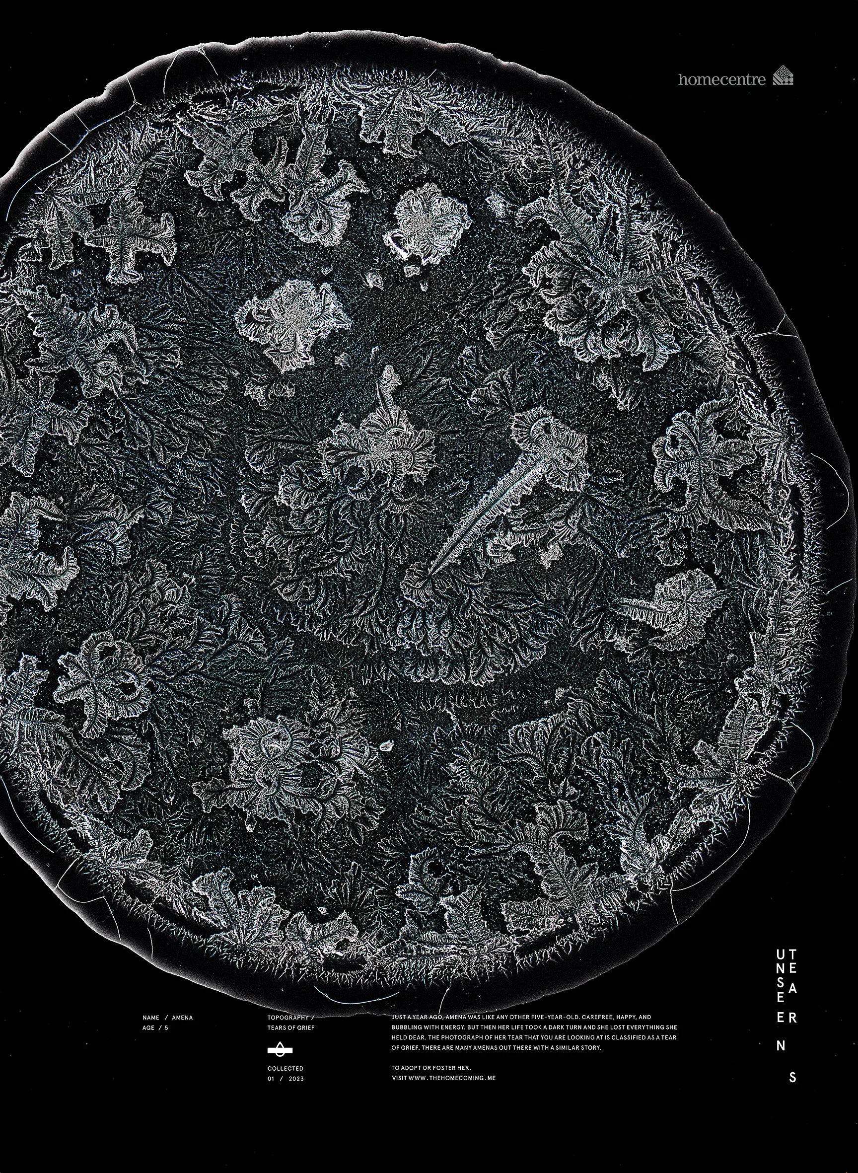 Unseen tears_ Amena.jpg