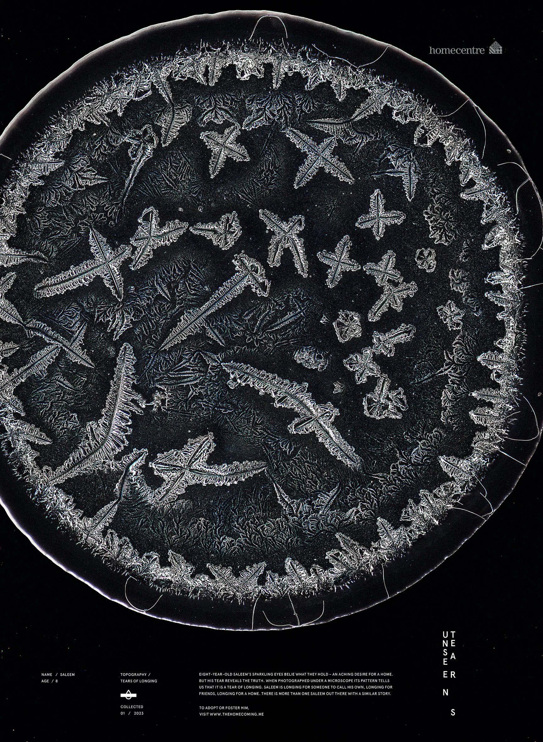 Unseen tears_ Saleem.jpg