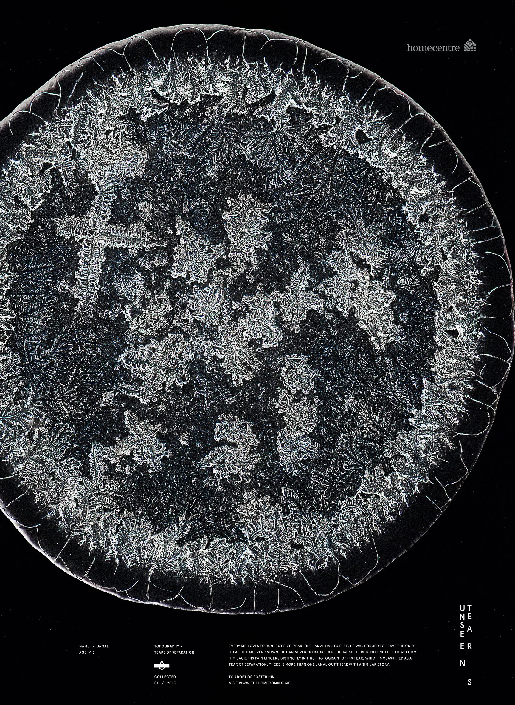 Unseen tears_ Jamal.jpg