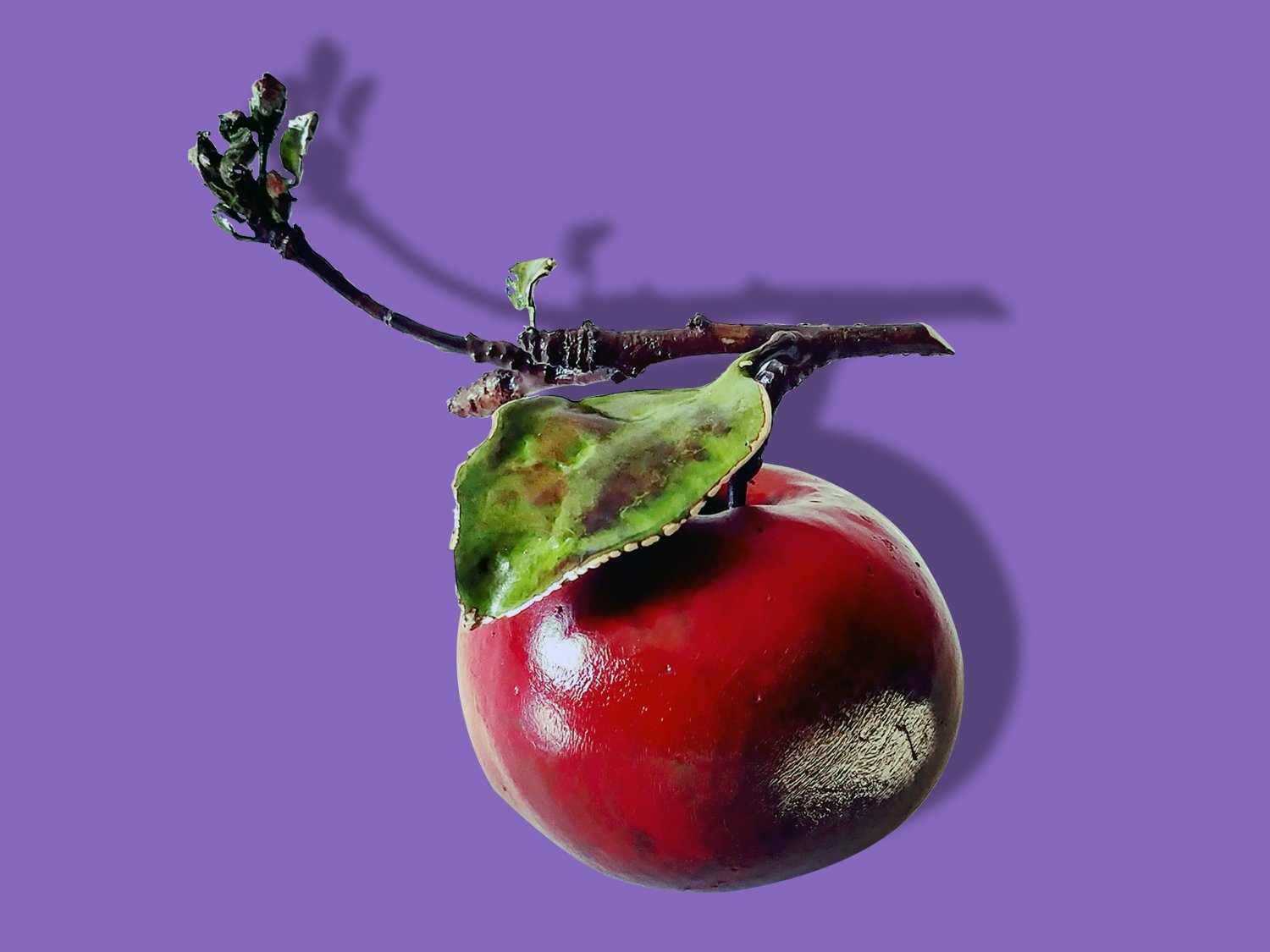 purple_apple.jpg