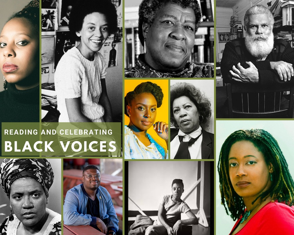 Black History, Black Futures — Lost City Bookstore