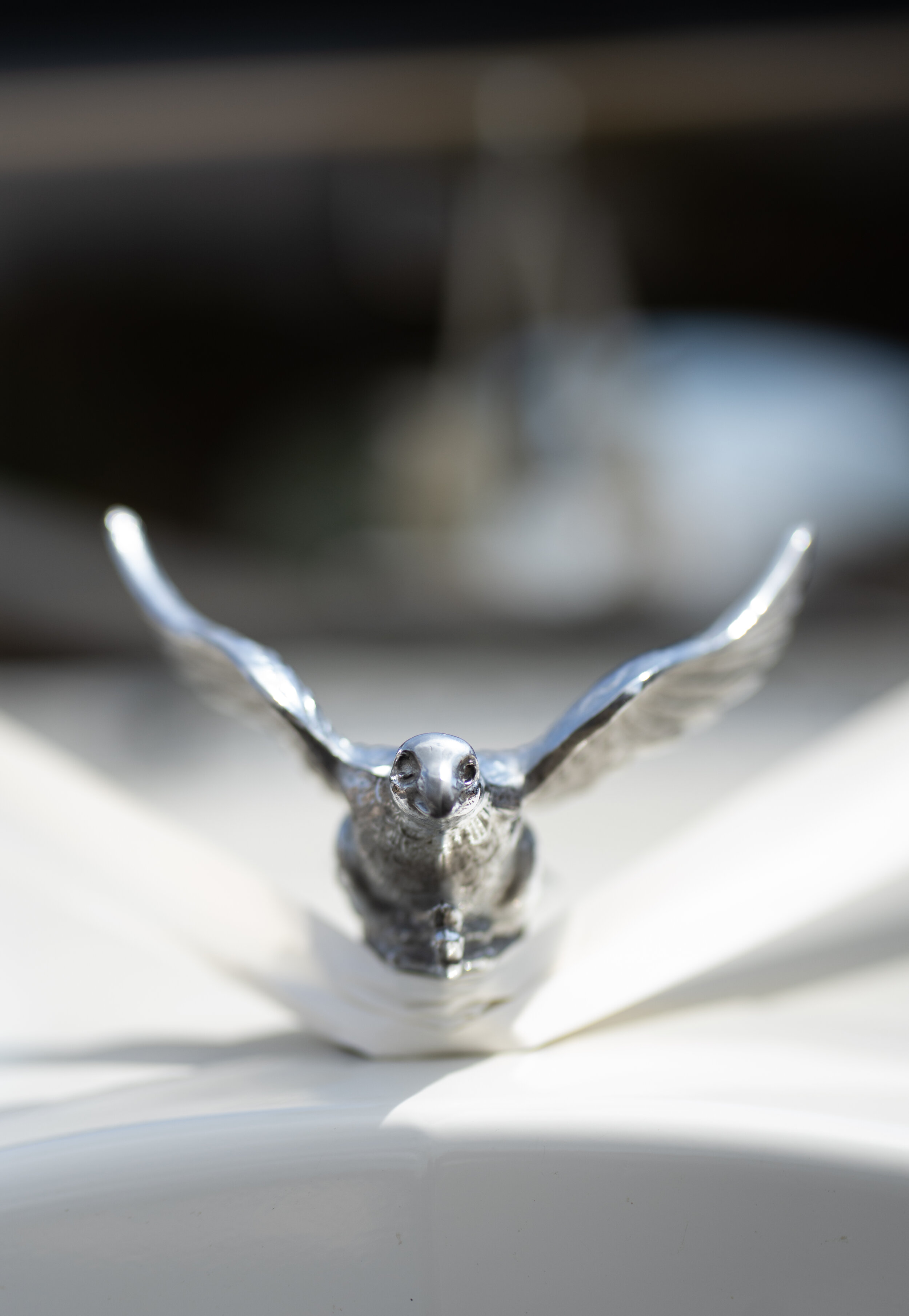 Rachel & Stuart JT-11.JPG