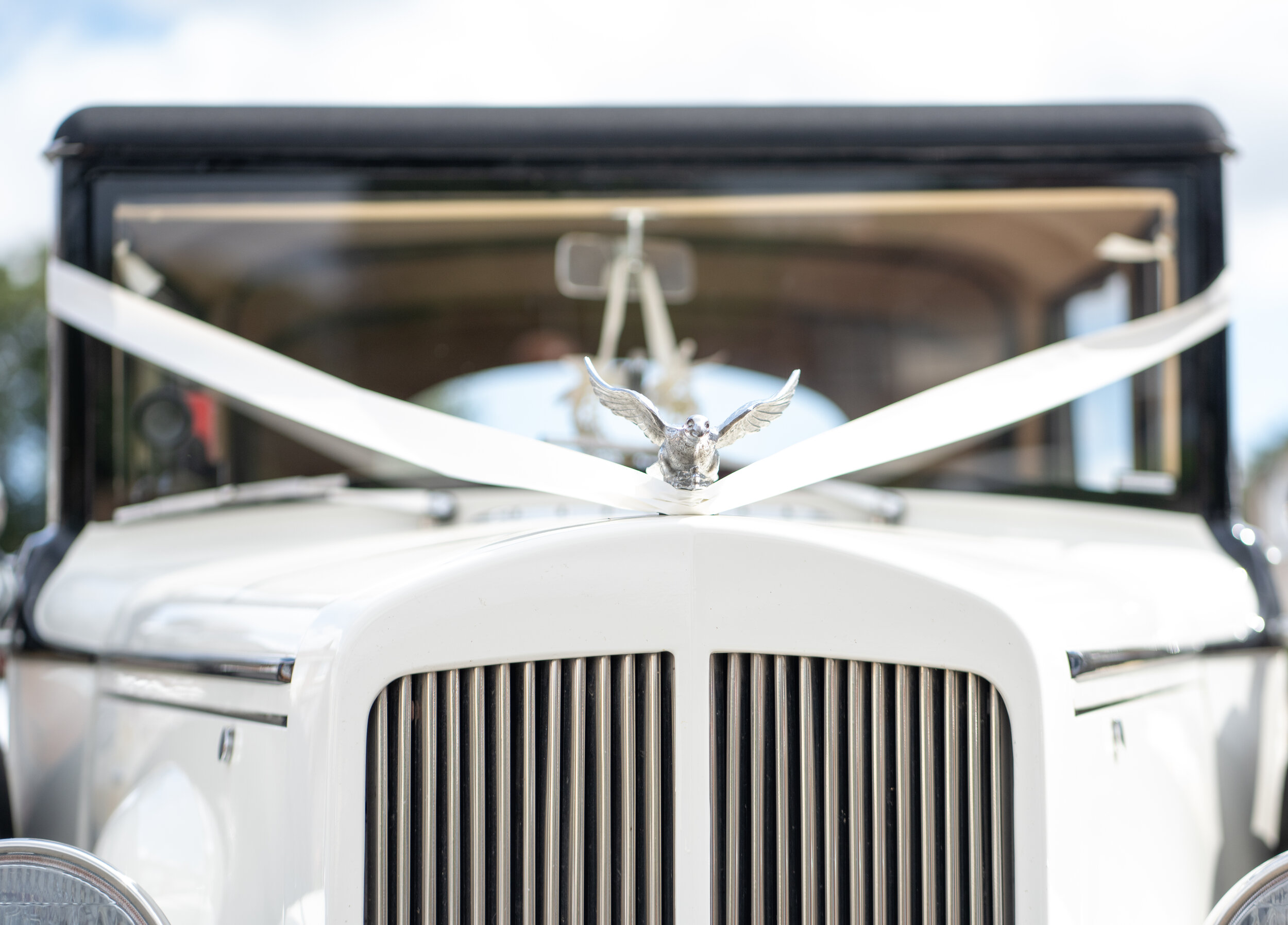 Rachel & Stuart JT-12.JPG