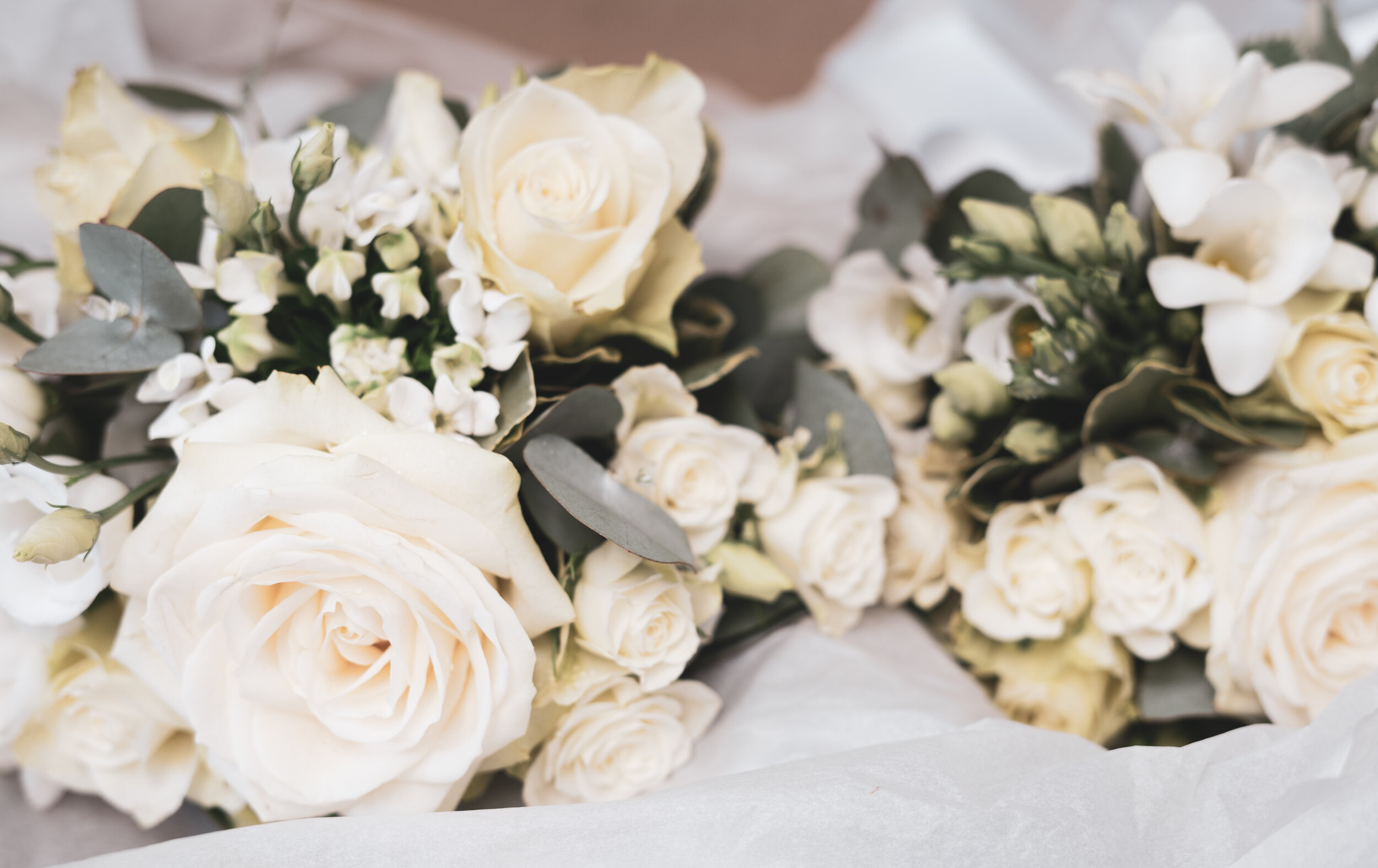 Rachel & Stuart-24.JPG