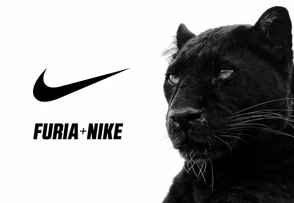 Image courtesy of FURIA