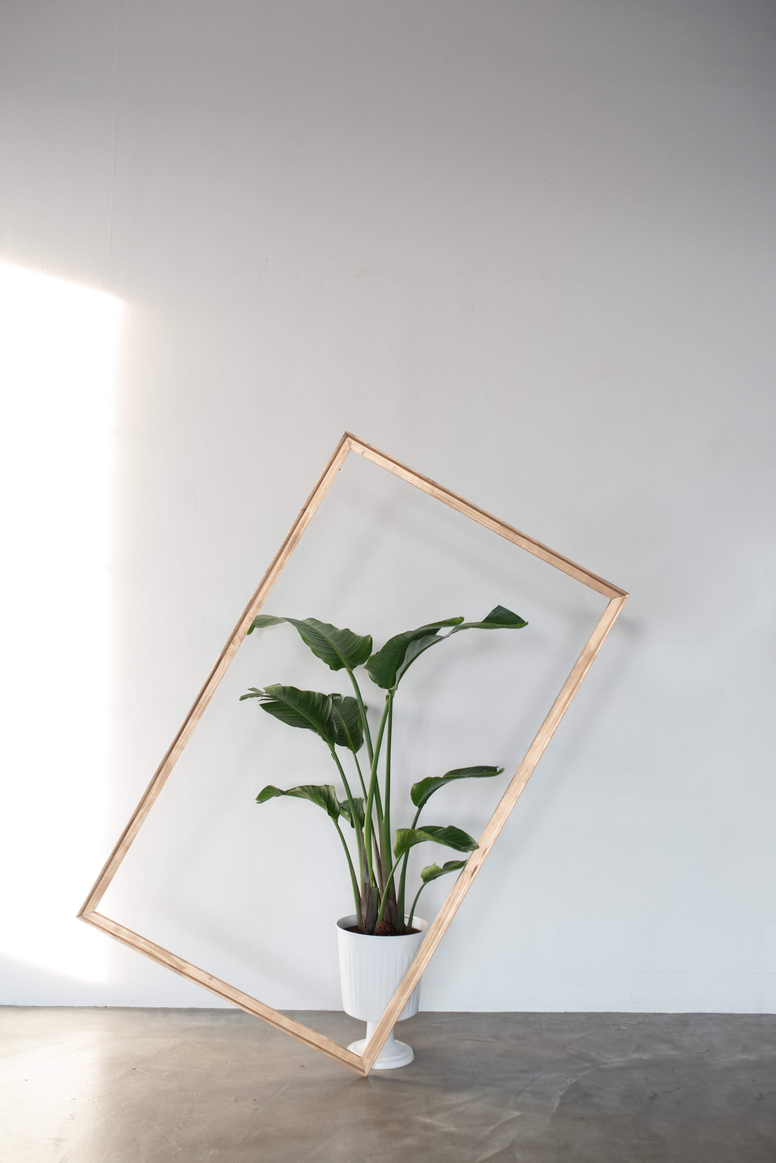 OFL_StockPhoto44-Edit.jpg