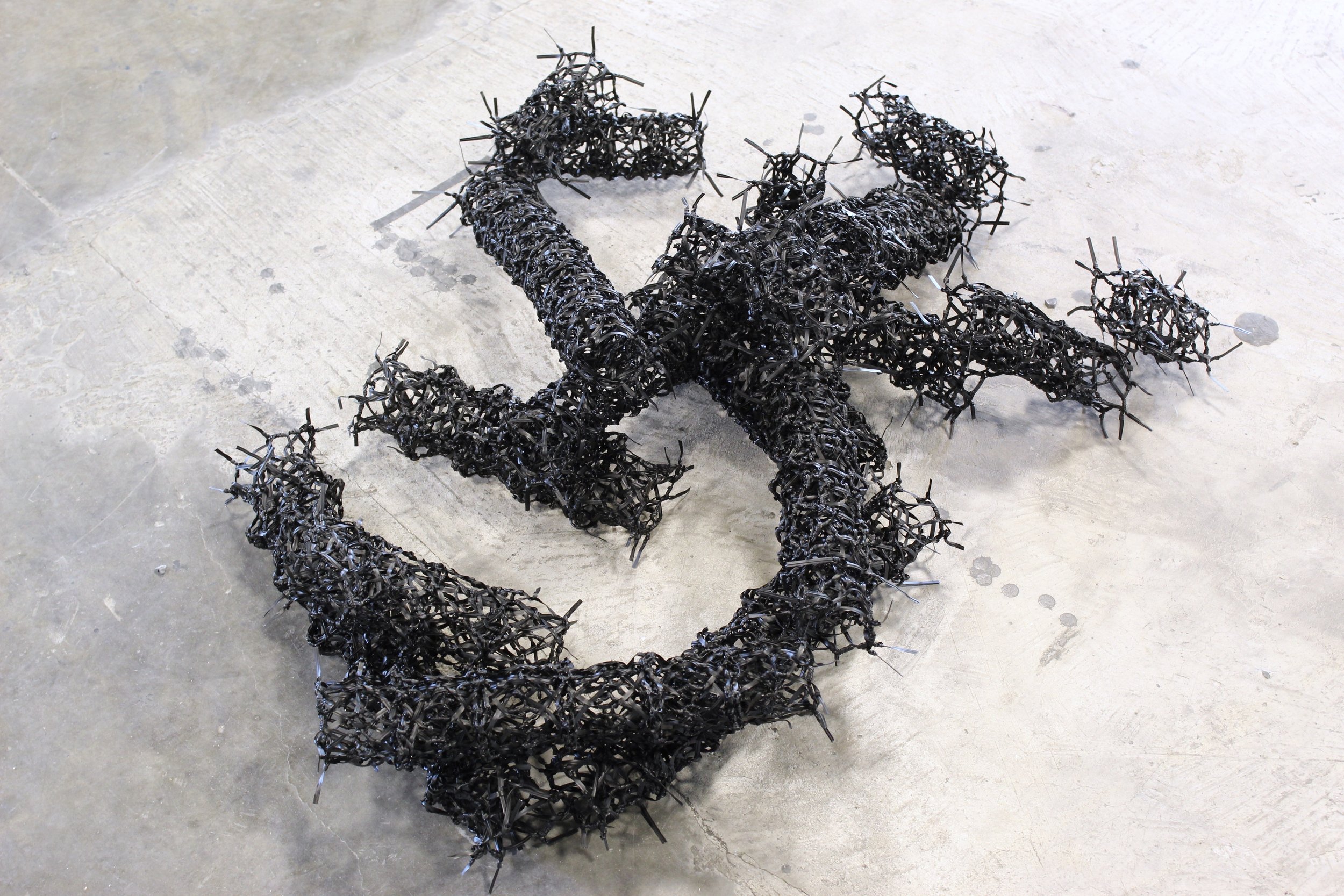 Spinae no. 4
