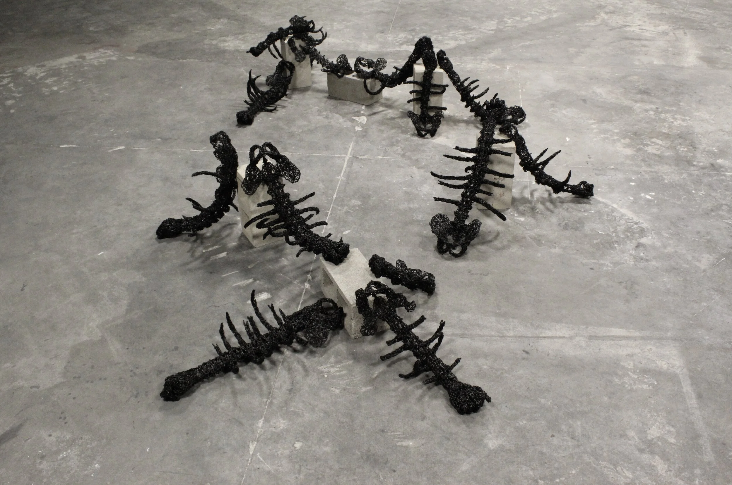 [Untitled]