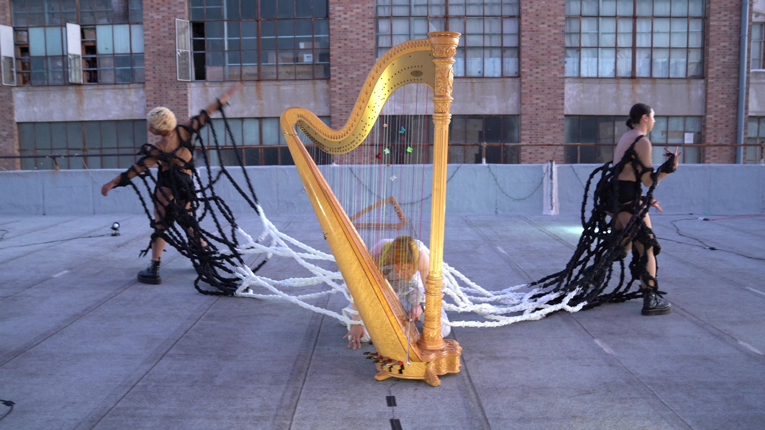 C0034+ - frame at 0m19s.jpg