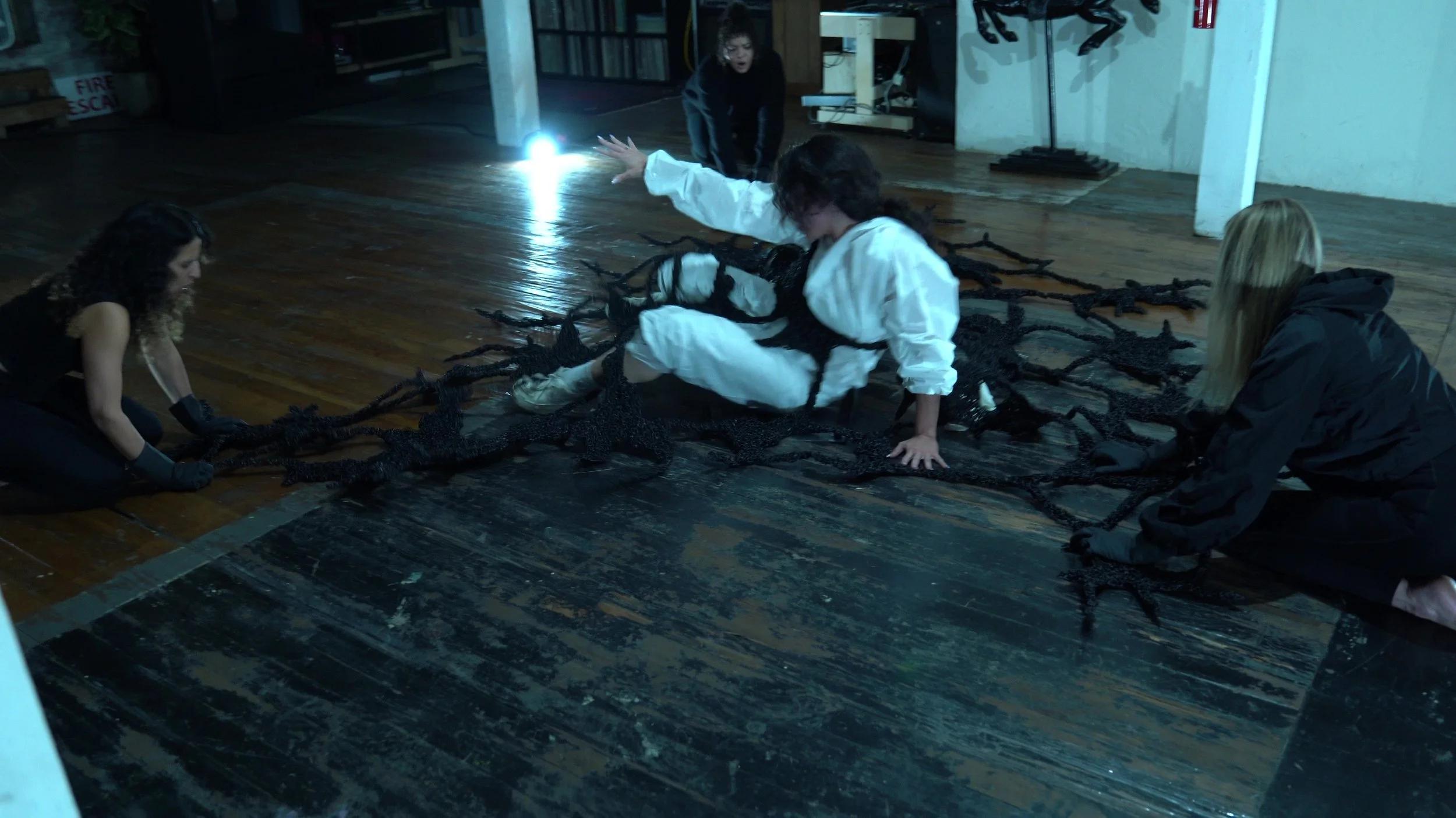 P11 - frame at 1m15s.jpg