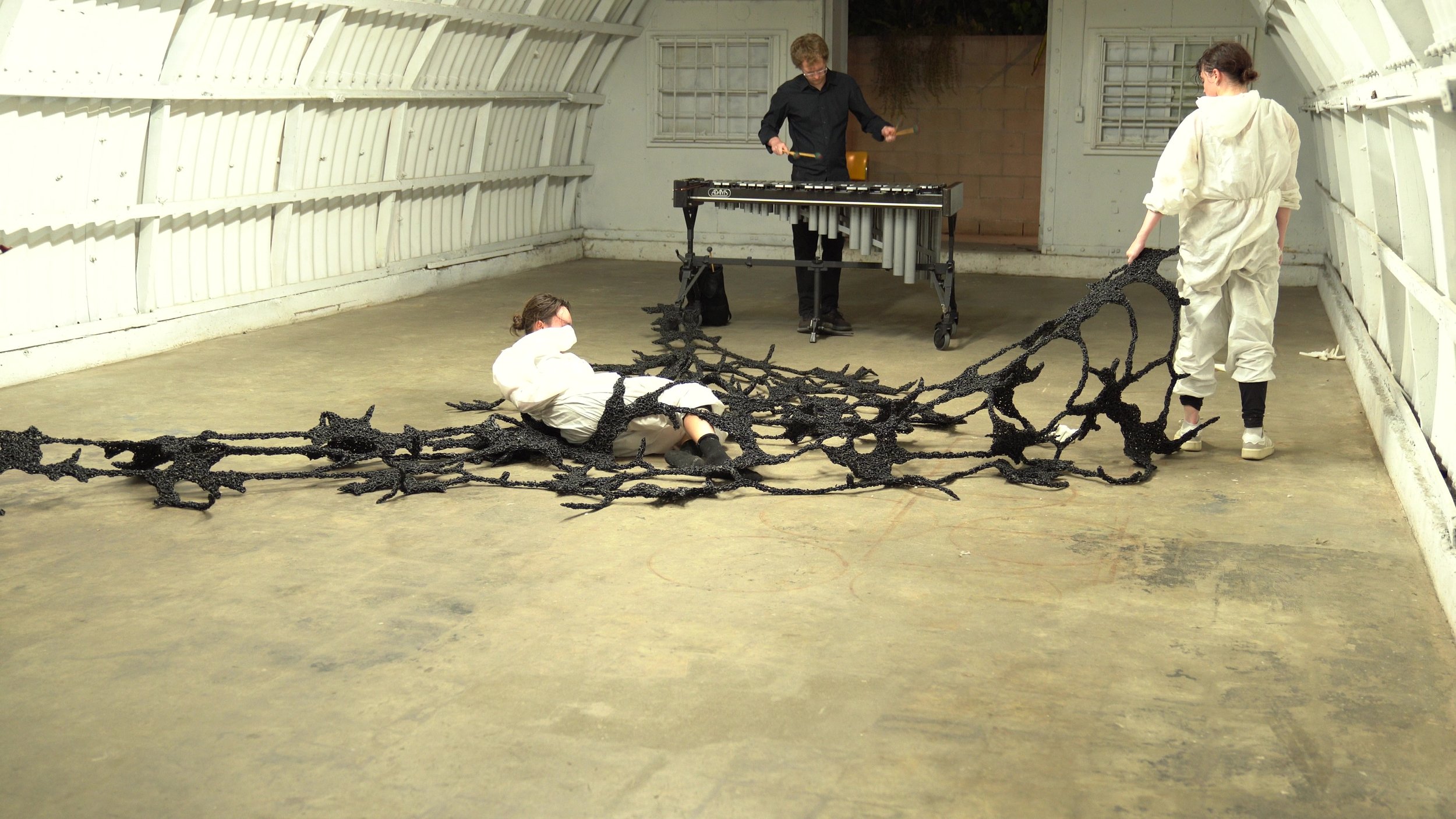P15 - frame at 1m13s.jpg
