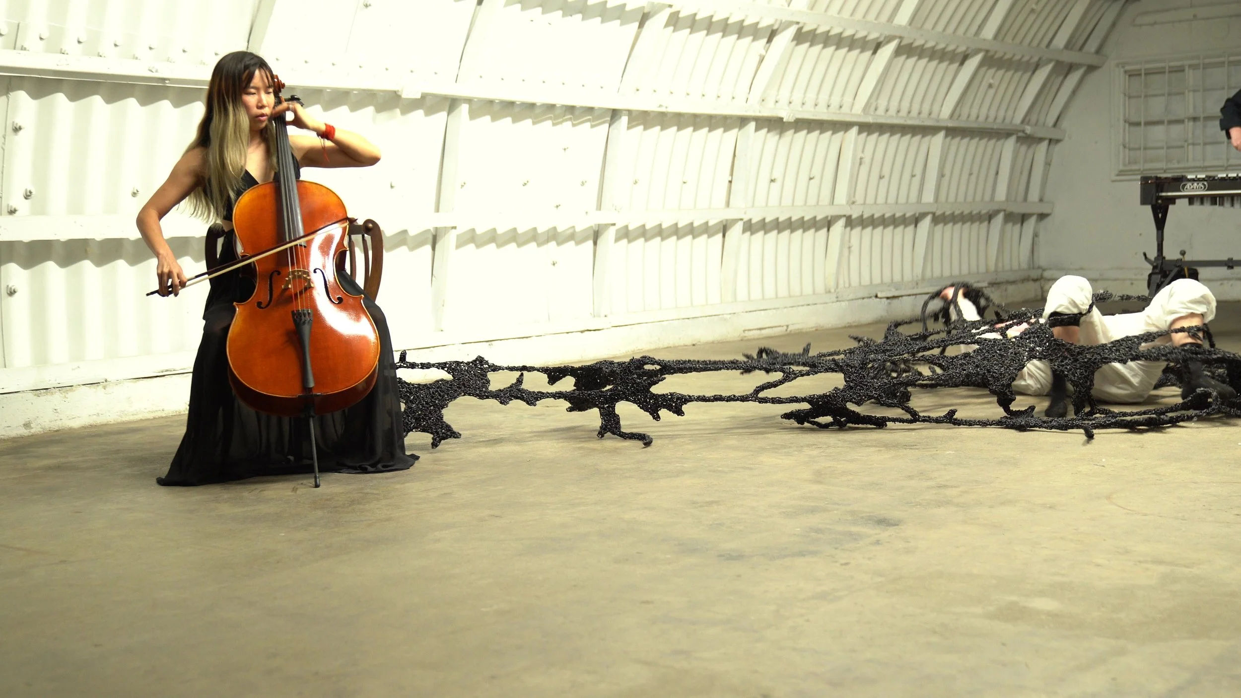 P15 - frame at 1m35s.jpg