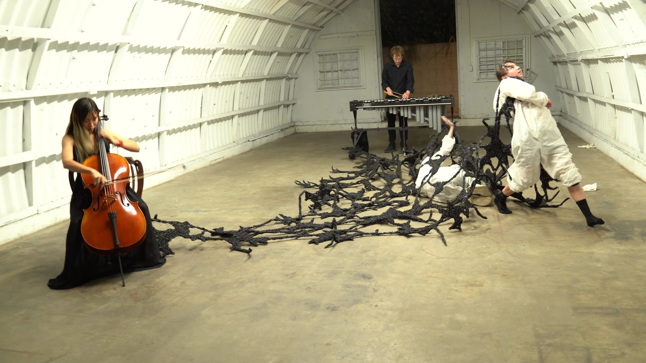 P17 - frame at 1m10s.jpg
