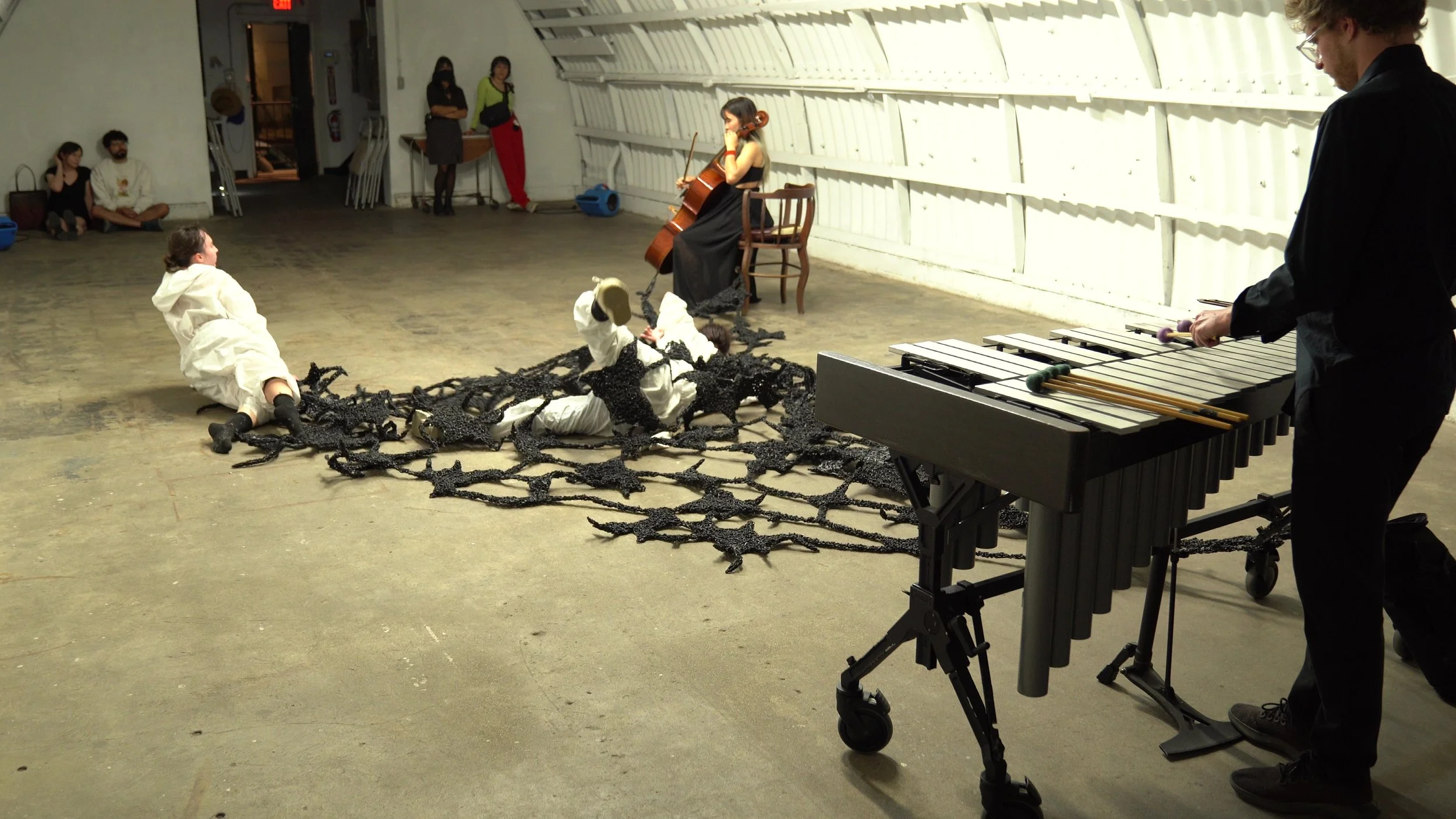 P19 - frame at 0m20s.jpg