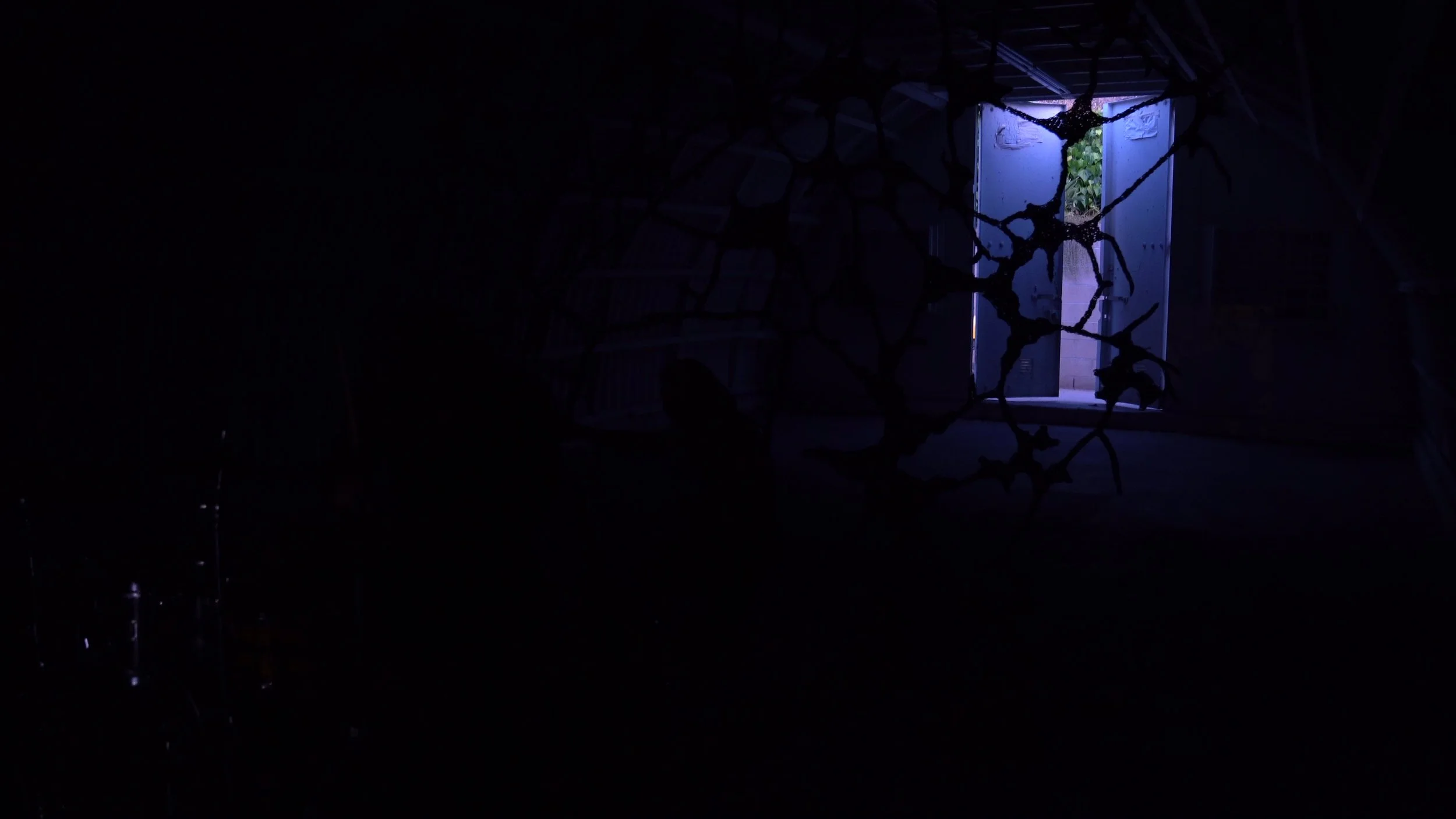 P2 - frame at 0m28s.jpg