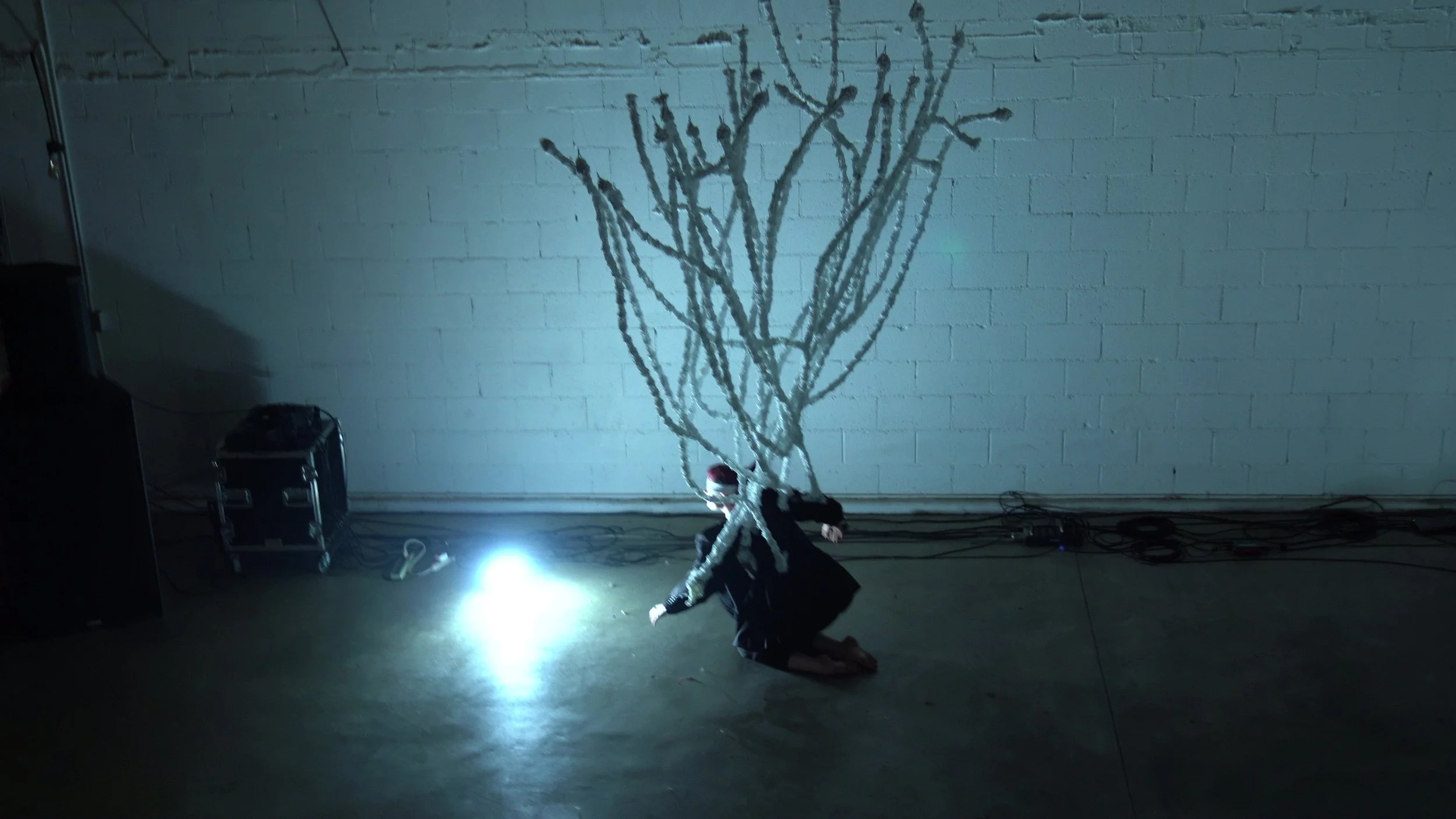 P10 ++ - frame at 1m1s.jpg
