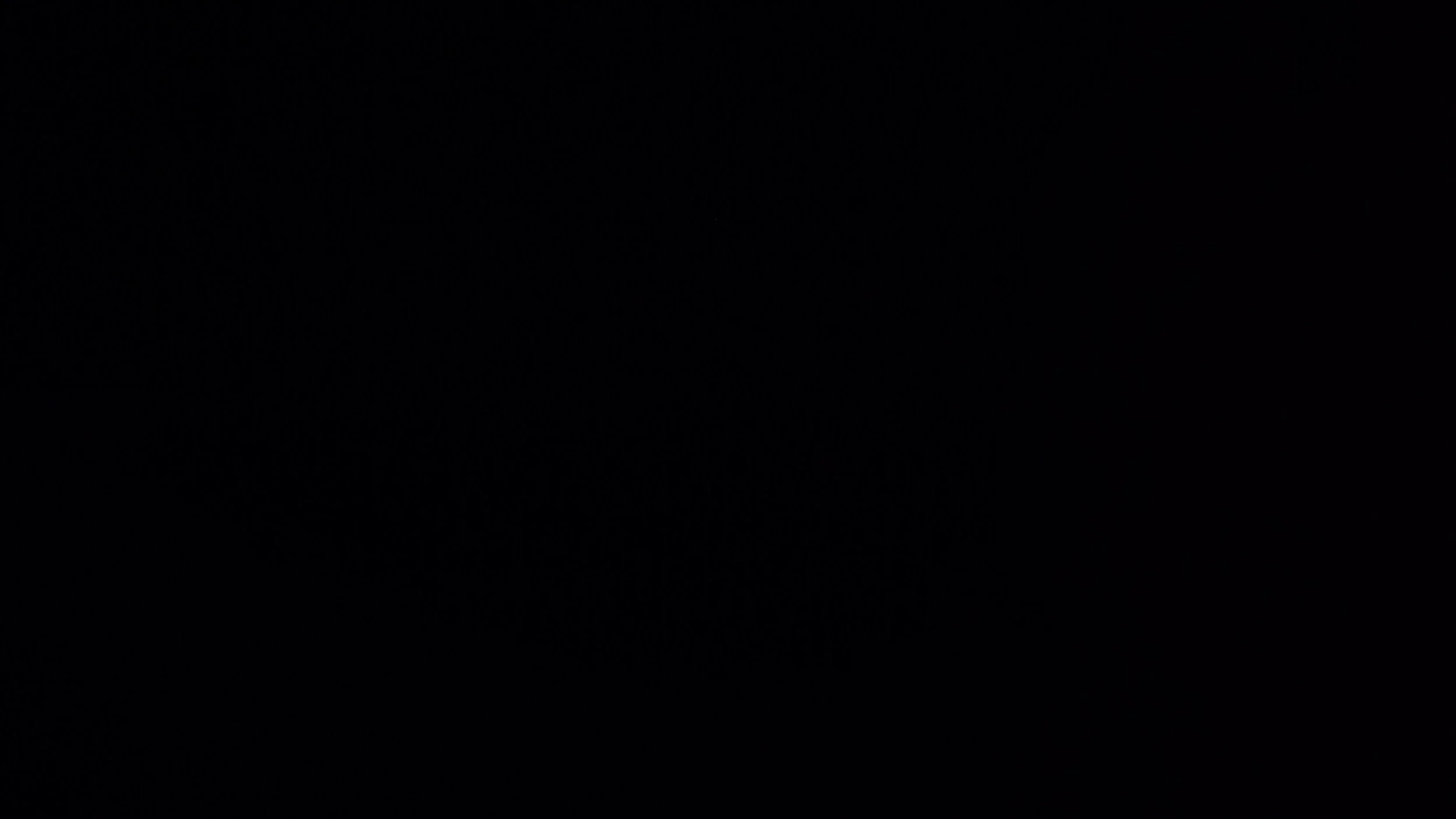 P31 - frame at 0m53s.jpg