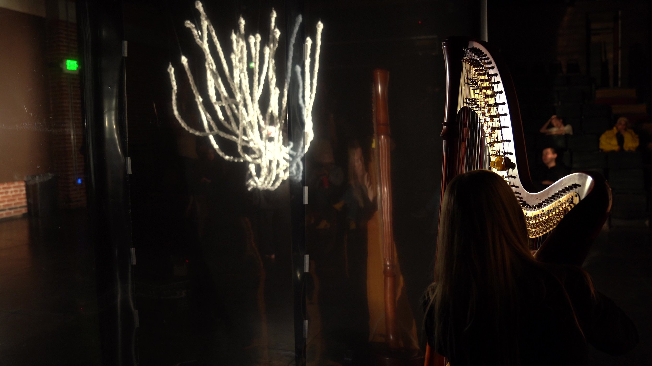 P14 + - frame at 1m31s.jpg