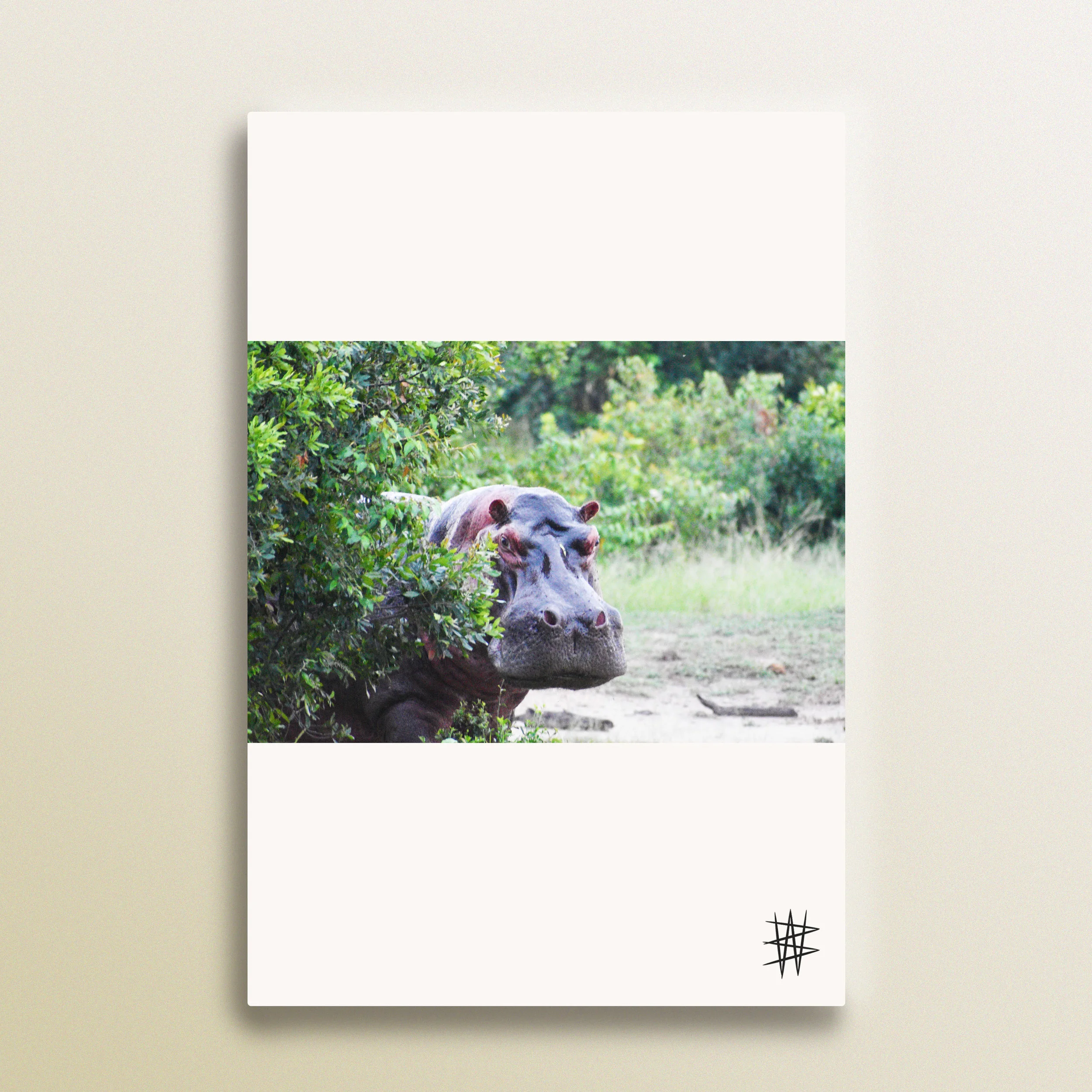 series024.jpg