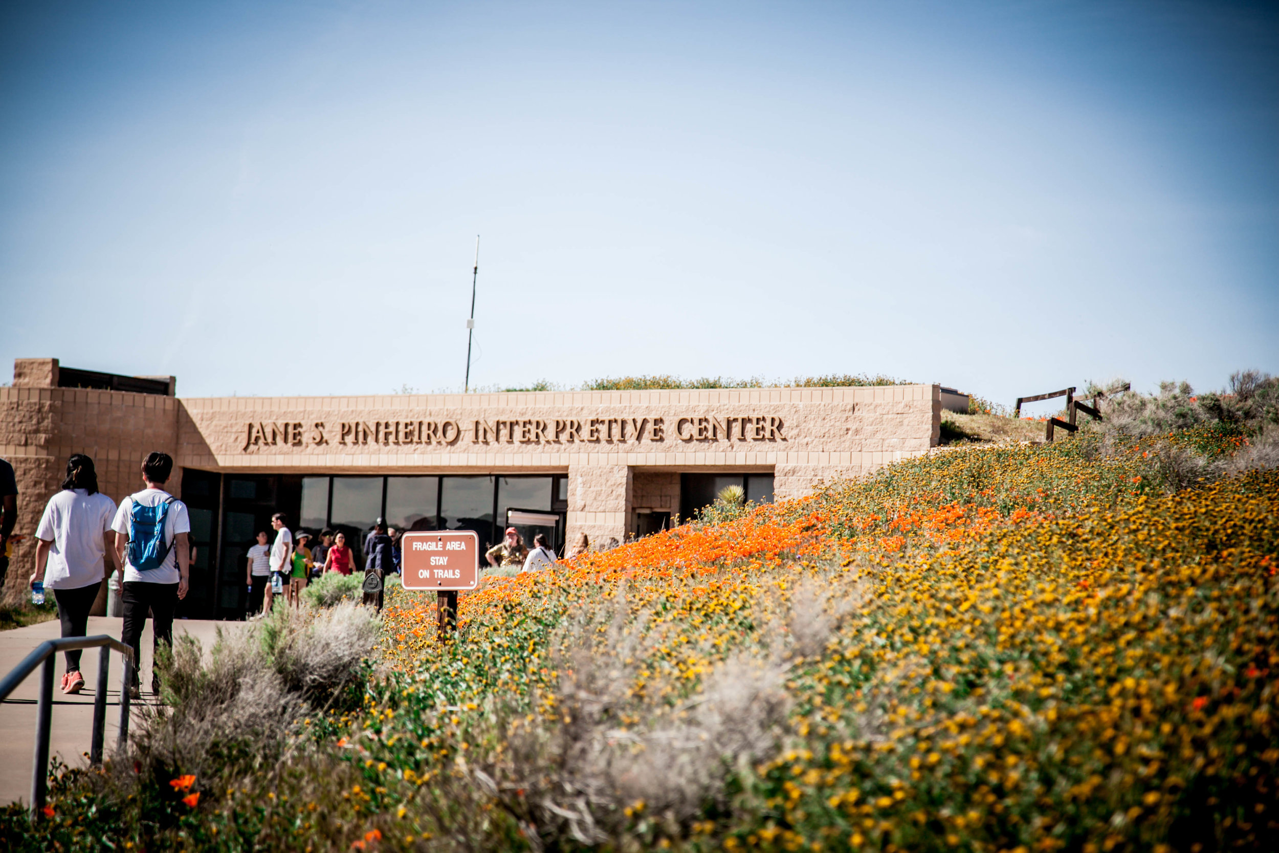 California Poppy Festival ™