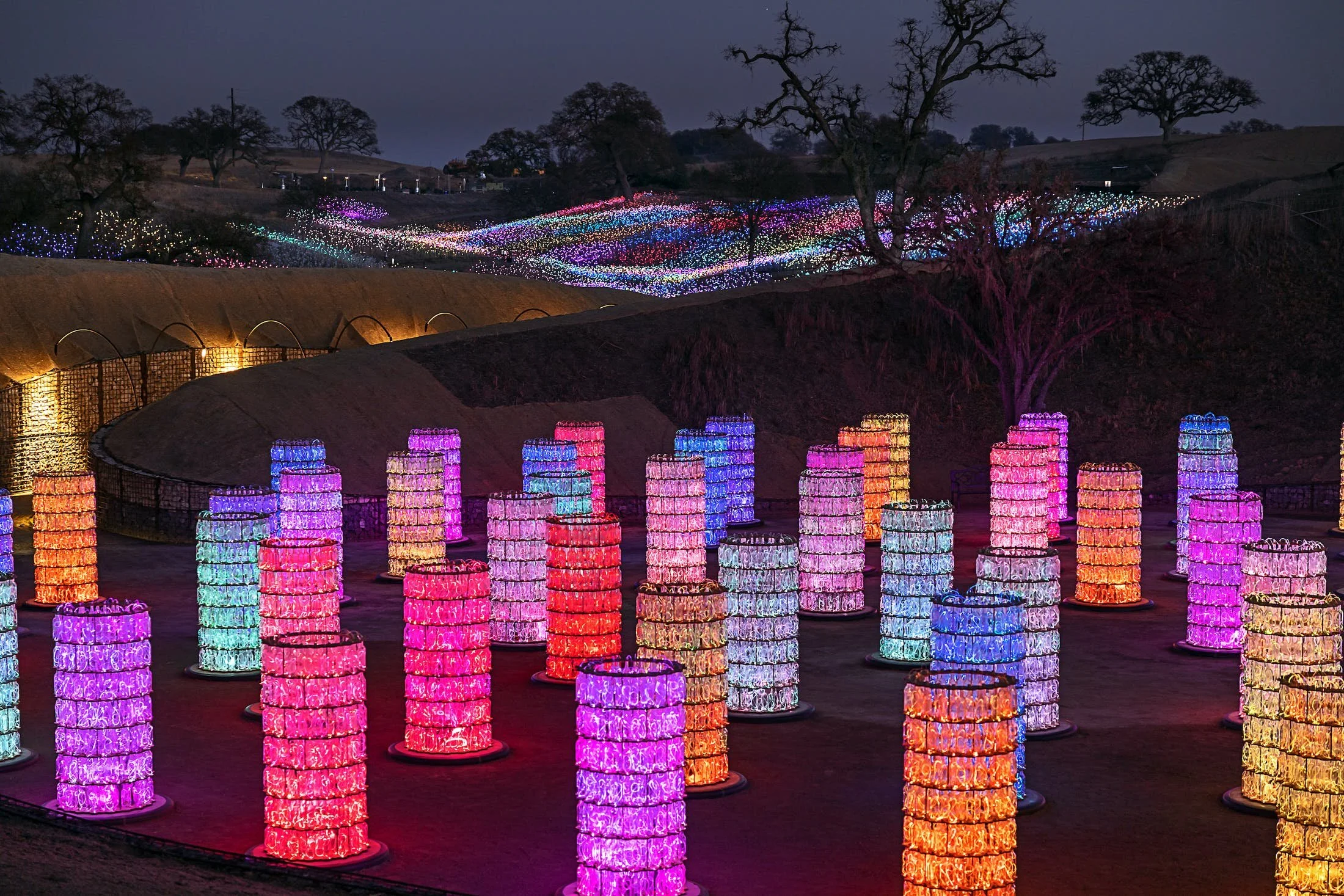 BRUCE MUNRO: FIELD OF LIGHT AT SENSORIO, PASO ROBLES