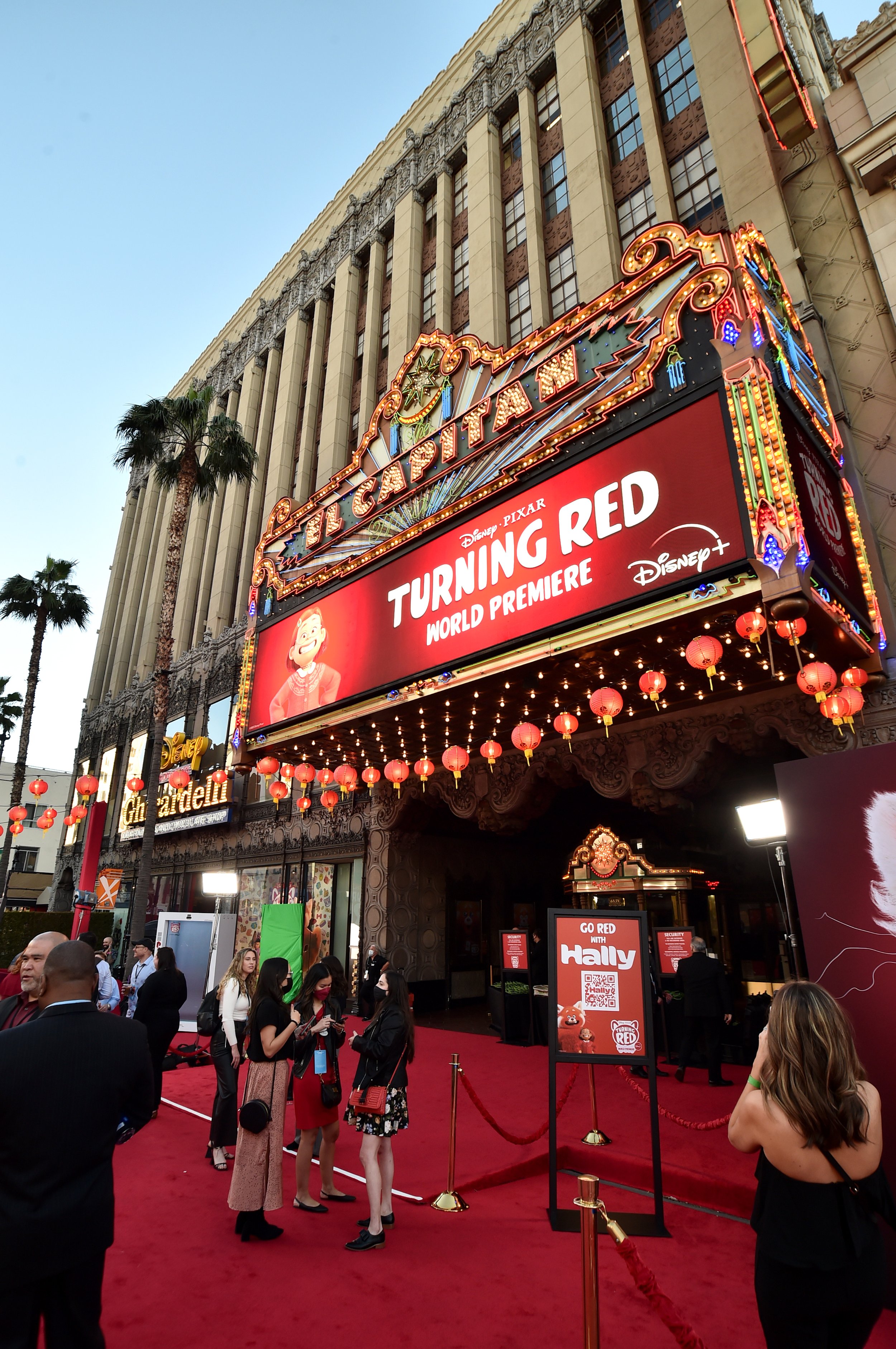 Turning Red Tape into Red Carpet – IEEP