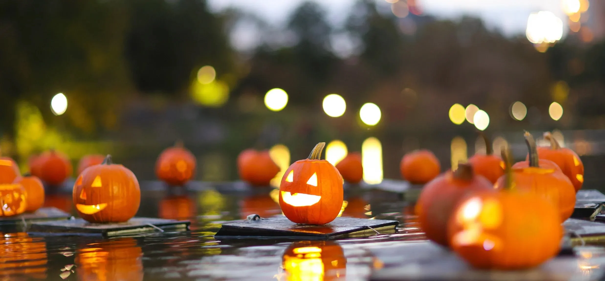 CENTRAL PARK'S PUMPKIN FLOTILLA ON HARLEM MEER, NYC