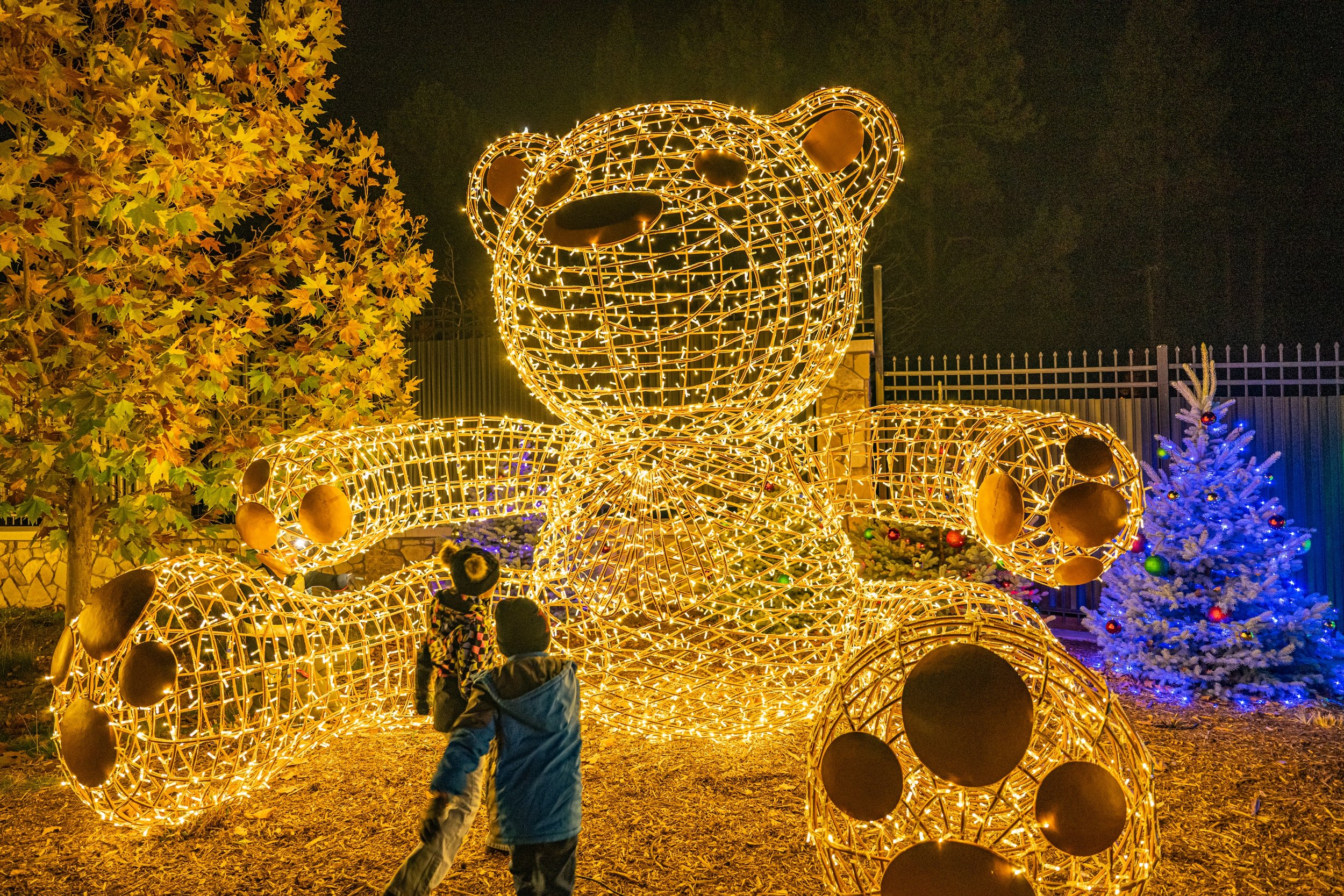 ALPINE ZOO WILD LIGHTS, BIG BEAR