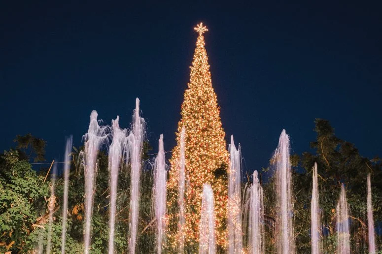 PALISADES VILLAGE TREE LIGHTING CELEBRATION, LA