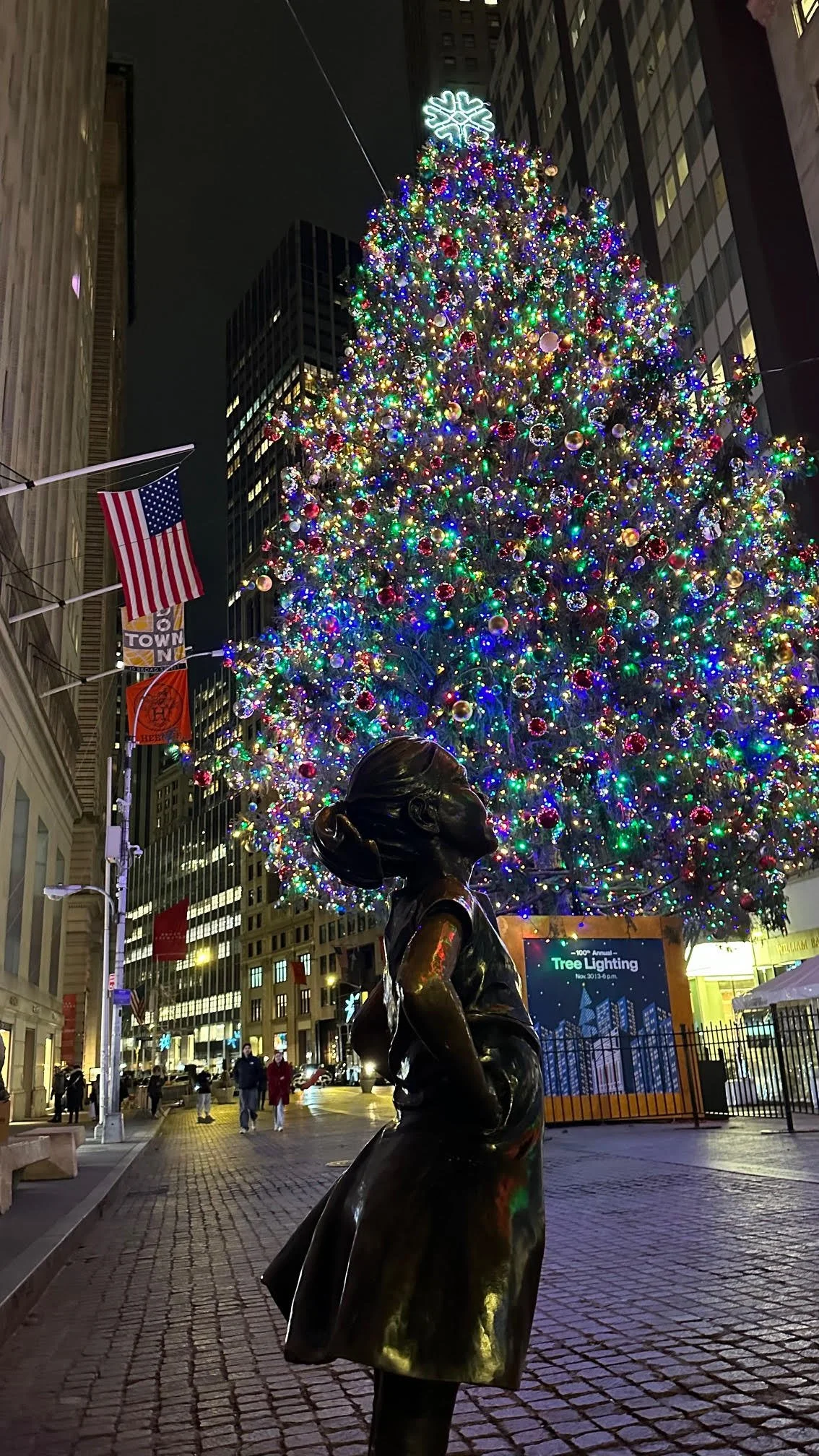 NYSE 102ND ANNUAL TREE LIGHTING, NYC 