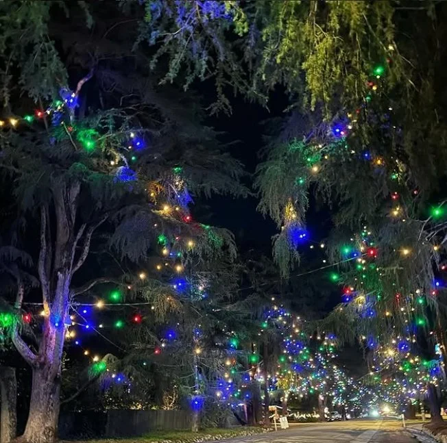 2025 CHRISTMAS TREE LANE, LA