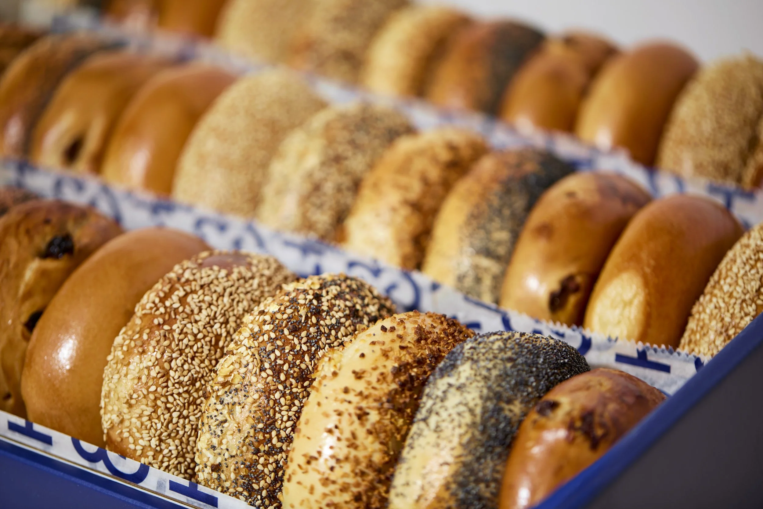 FREE H&amp;H BAGELS FOR NATIONAL BAGEL DAY, NYC