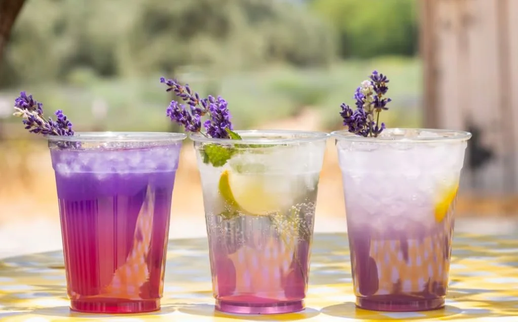 22ND ANNUAL LAVENDER FESTIVAL, CHERRY VALLEY