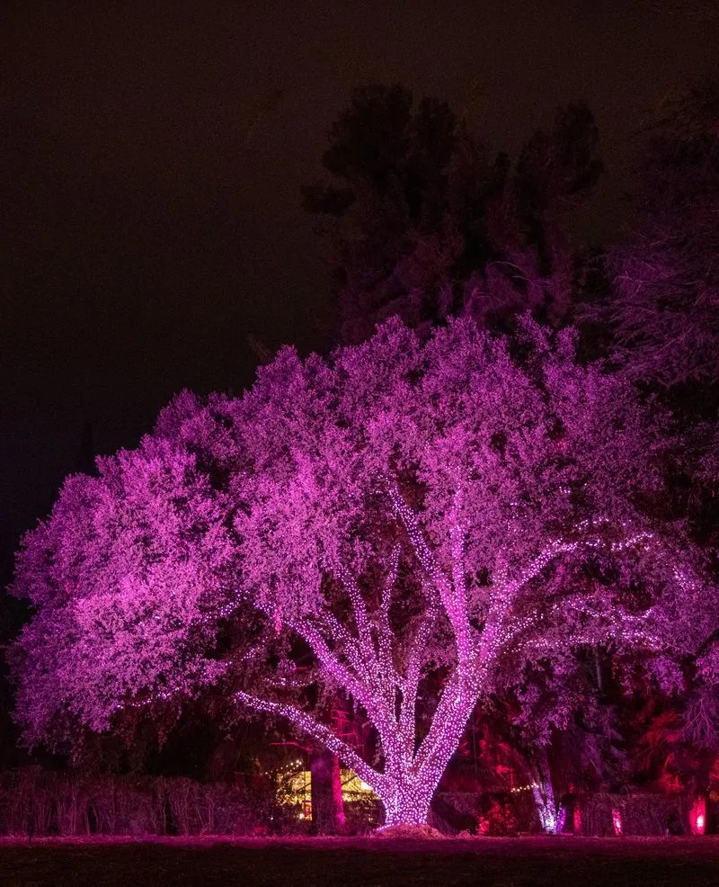 123 FARM 2026 VALENTINES NIGHTS, CHERRY VALLEY