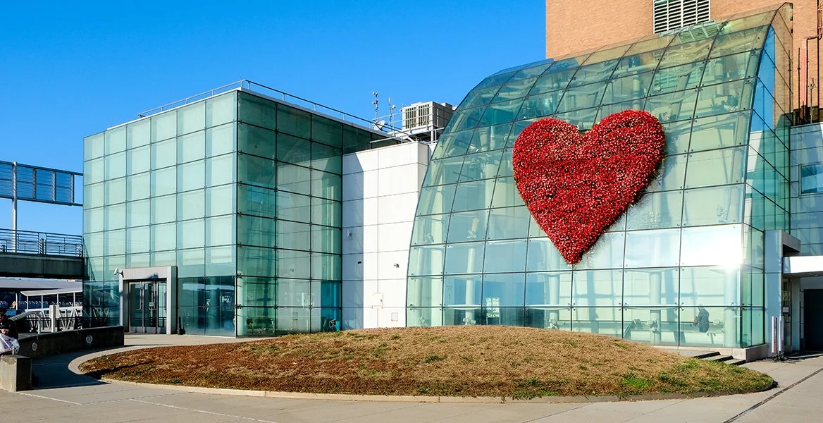 NY WATERWAY’S WEEKEND VALENTINE’S DAY POP-UP, NYC