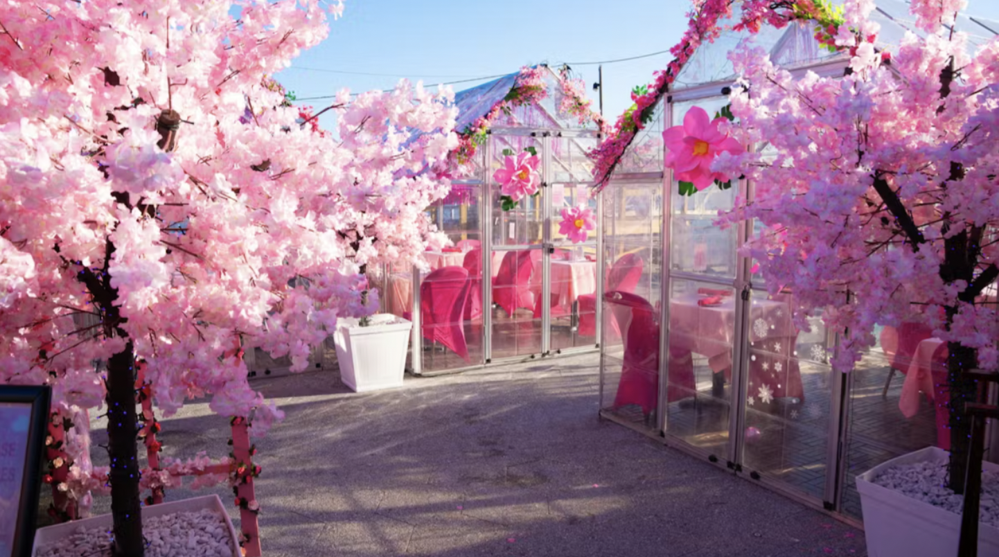 CHERRY BLOSSOM POP-UP AT WATERMARK, NYC