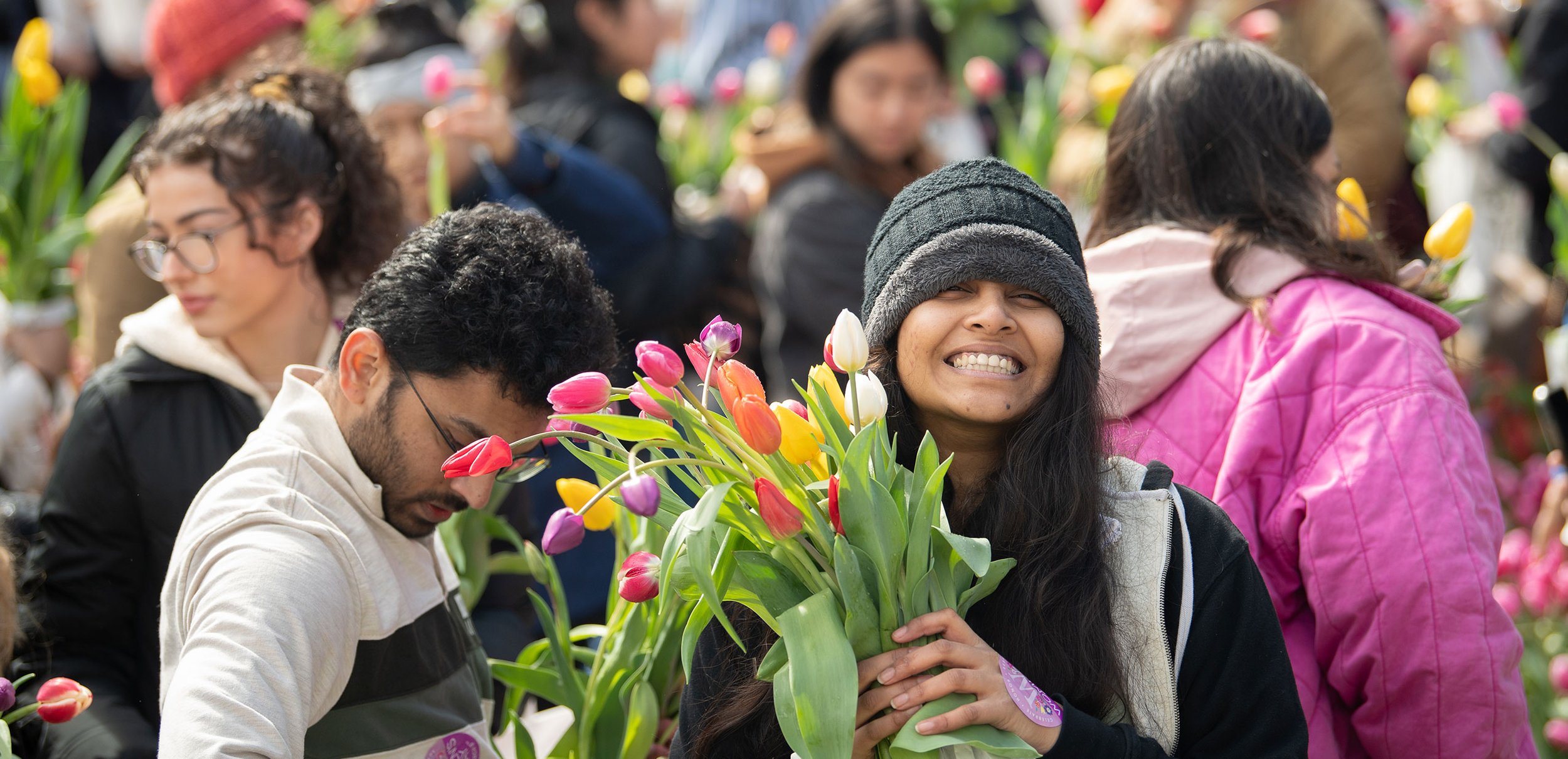 TULIP DAY WASHINGTON, DC