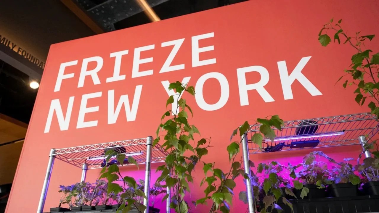 FRIEZE NEW YORK, NYC
