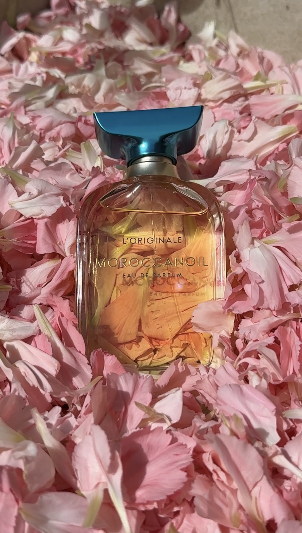 MOROCCANOIL LUMIÈRE DU JOUR EAU DE PARFUM POP-UP, LA
