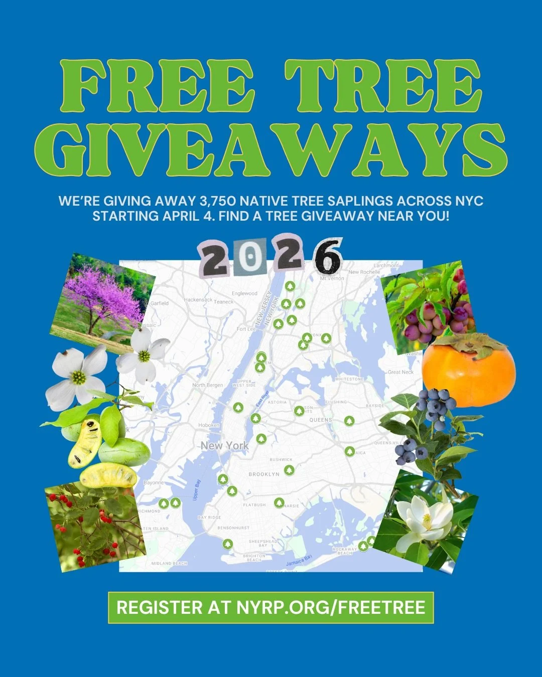 NYRP FREE TREE GIVEAWAYS, NYC
