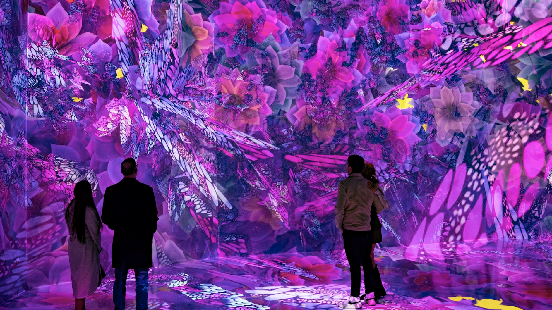 ARTECHOUSE PRESENTS: BLOOMING WONDERS, NYC