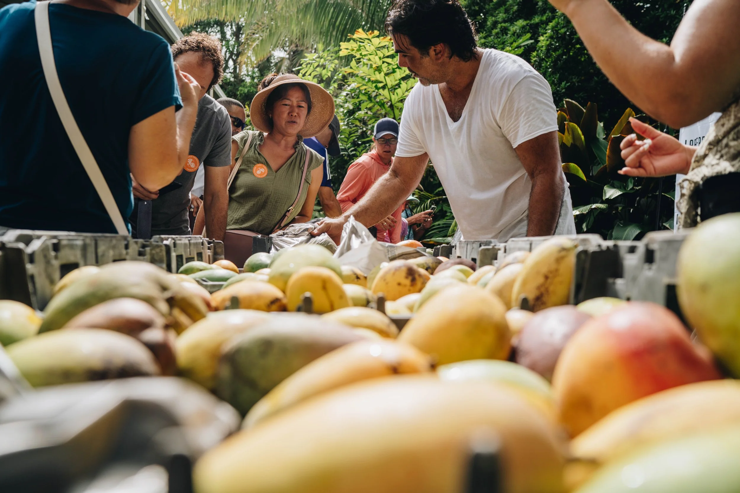 FAIRCHILD TROPICAL BOTANIC GARDEN MANGO FESTIVAL, MIAMI