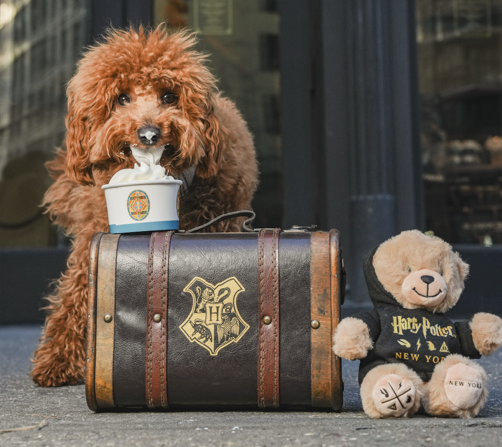 CELEBRATE NATIONAL PET DAY AT HARRY POTTER SHOP NEW YORK, NYC