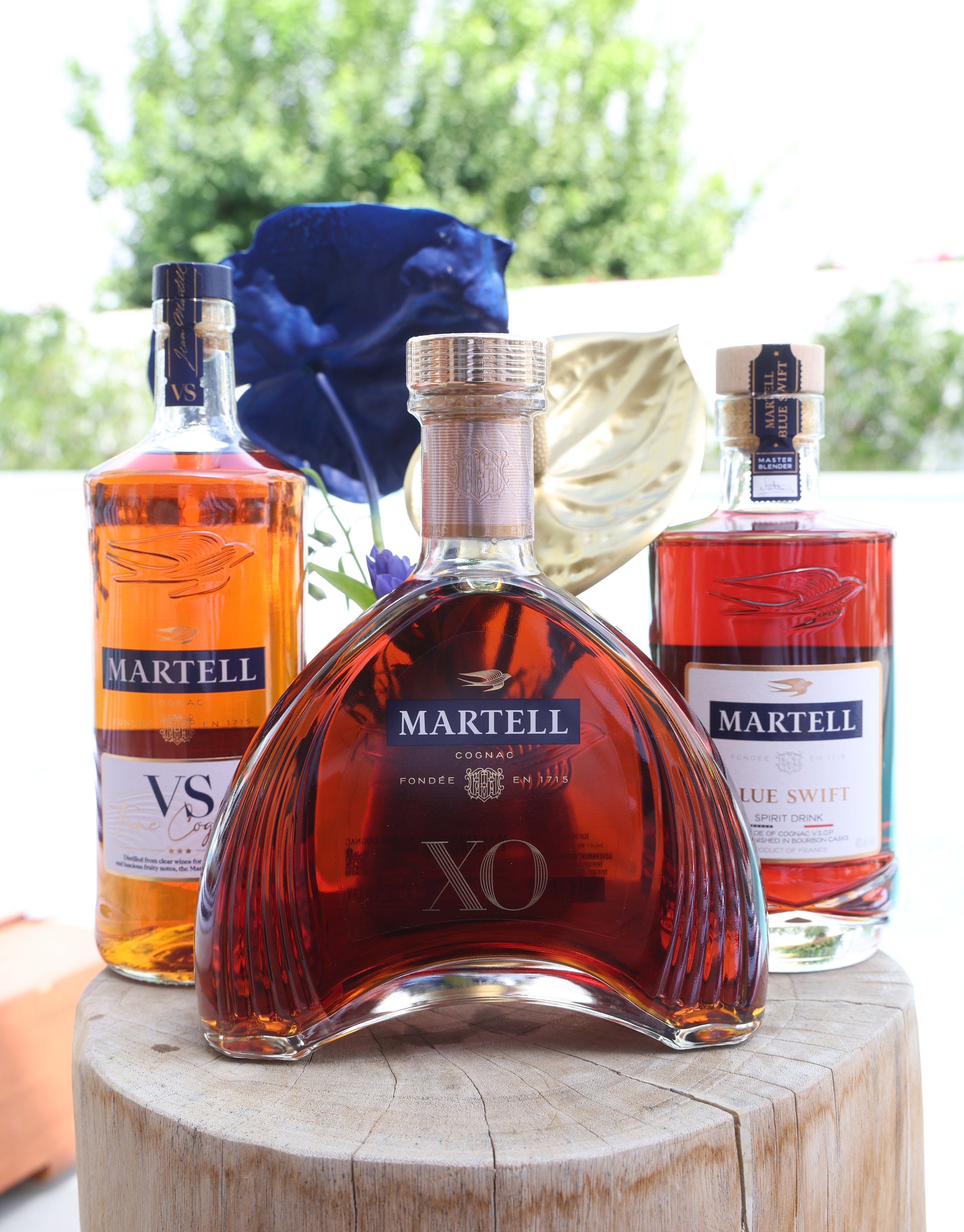  Photo: Jerritt Clark/Getty Images for Martell 
