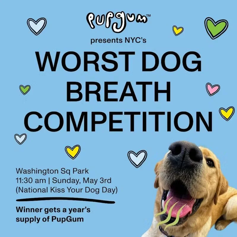  PUPGUM WORST DOG BREATH CONTEST, NYC